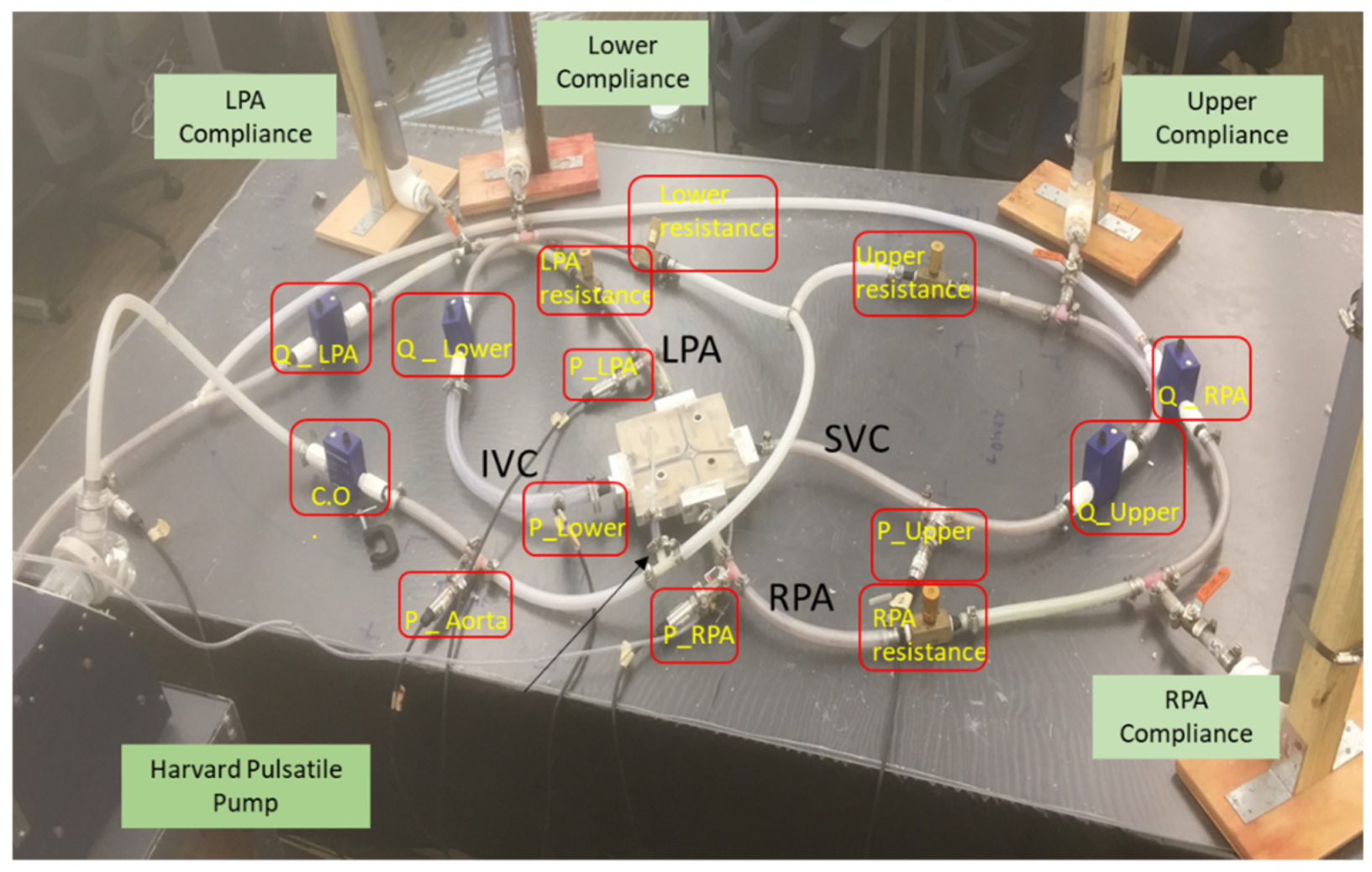 Fluids 06 00401 g008 550