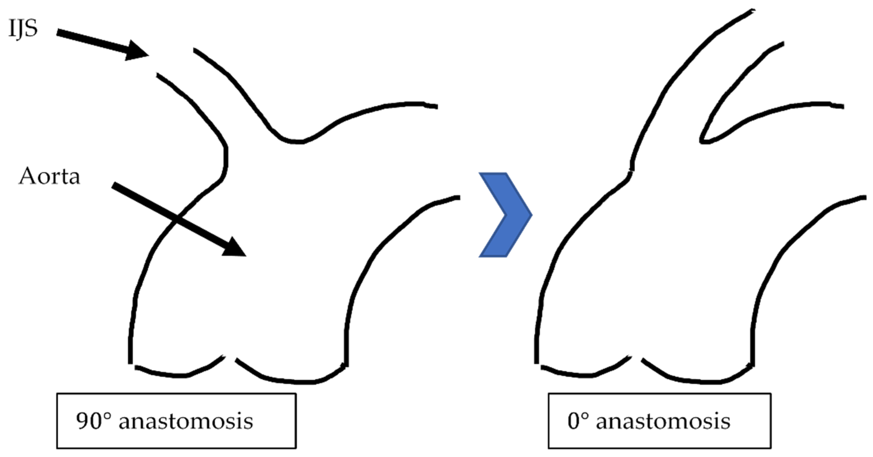 Fluids 06 00401 g010 550