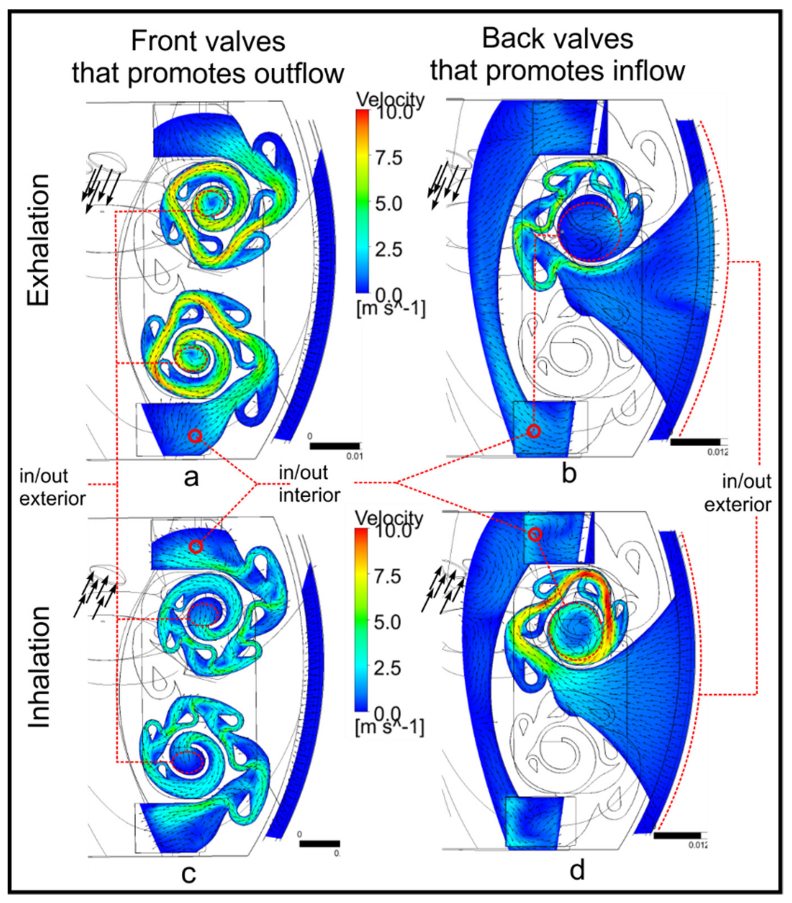 Fluids 06 00408 g008