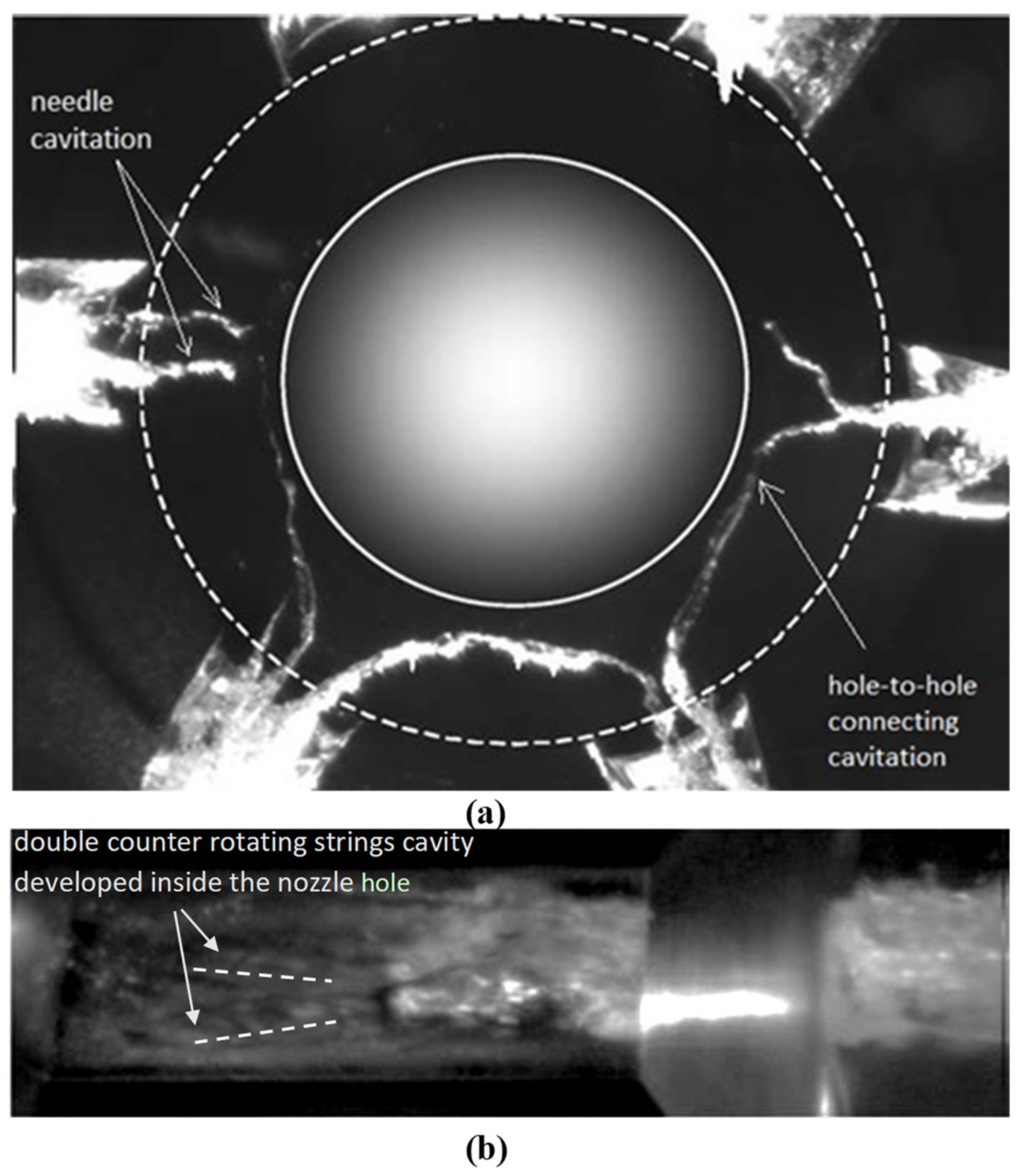 Fluids 06 00421 g011