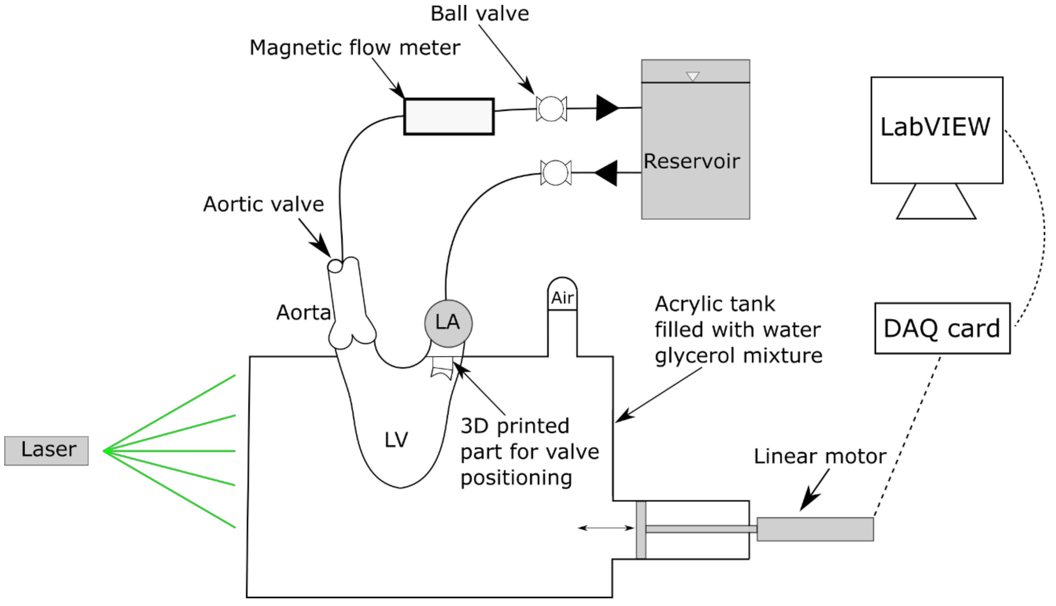 Fluids 06 00428 g001