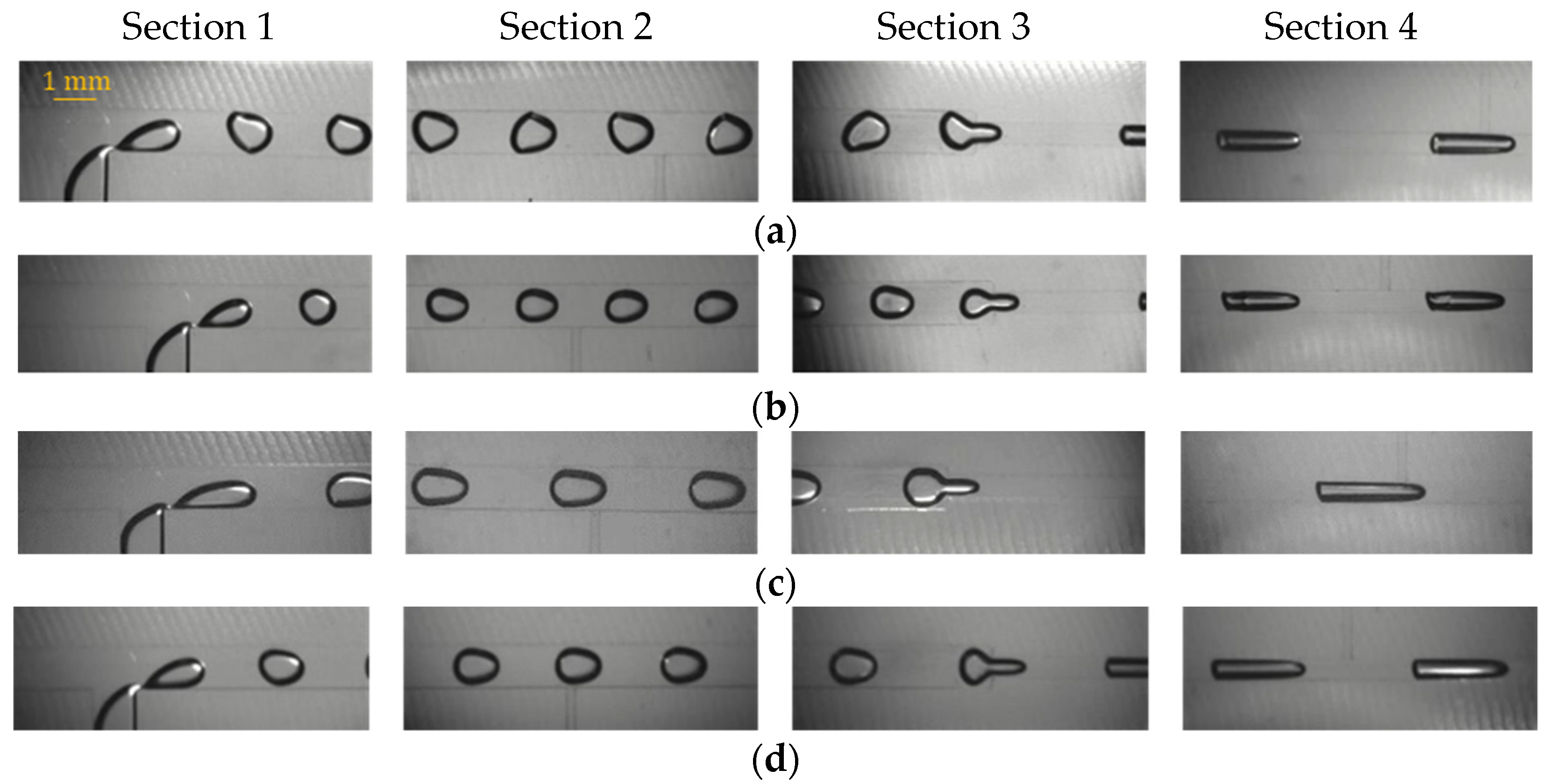 Fluids 06 00440 g009