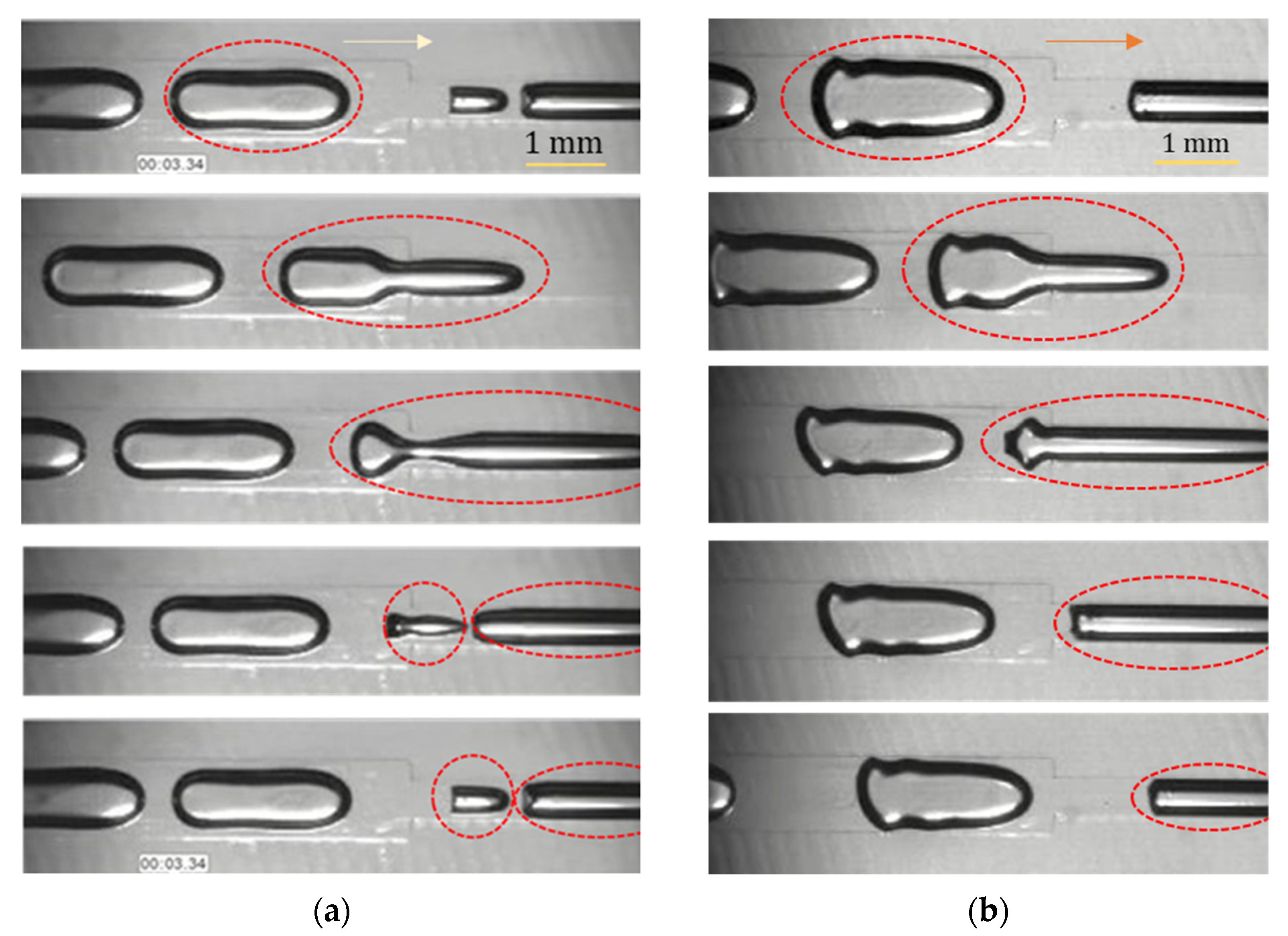 Fluids 06 00440 g016