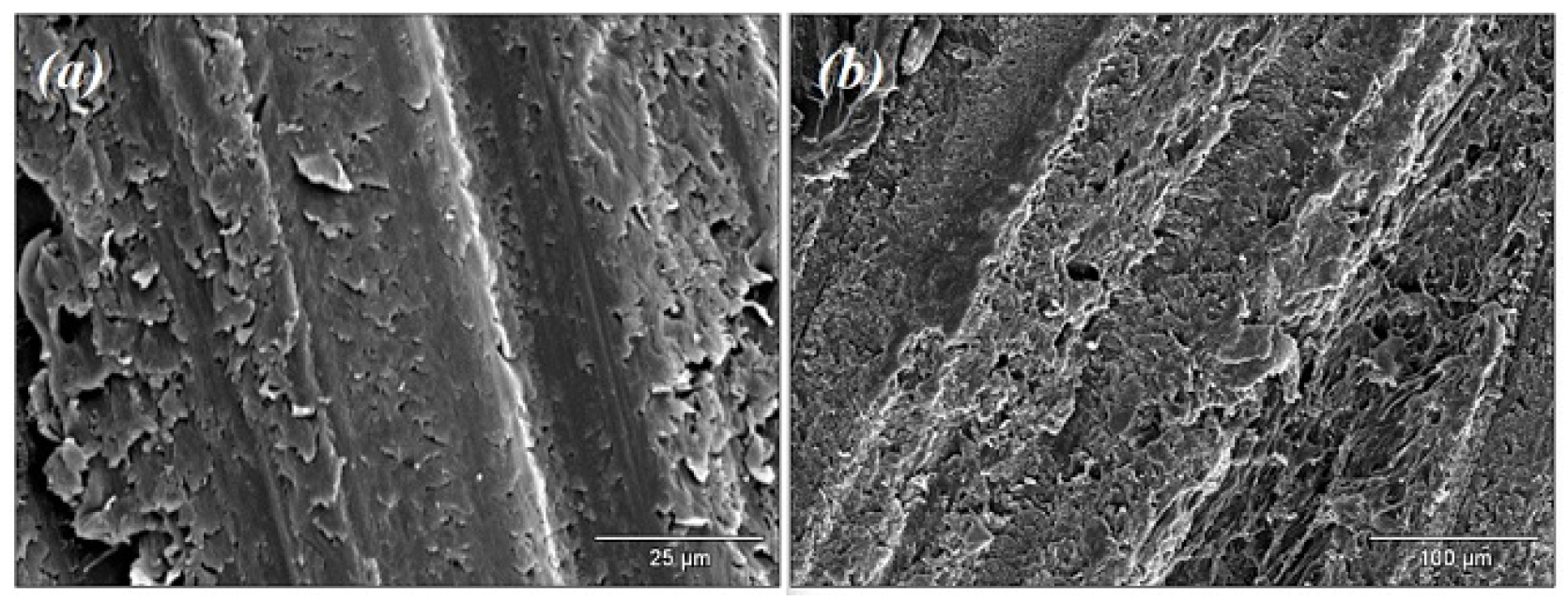 Fluids 06 00463 g004 550