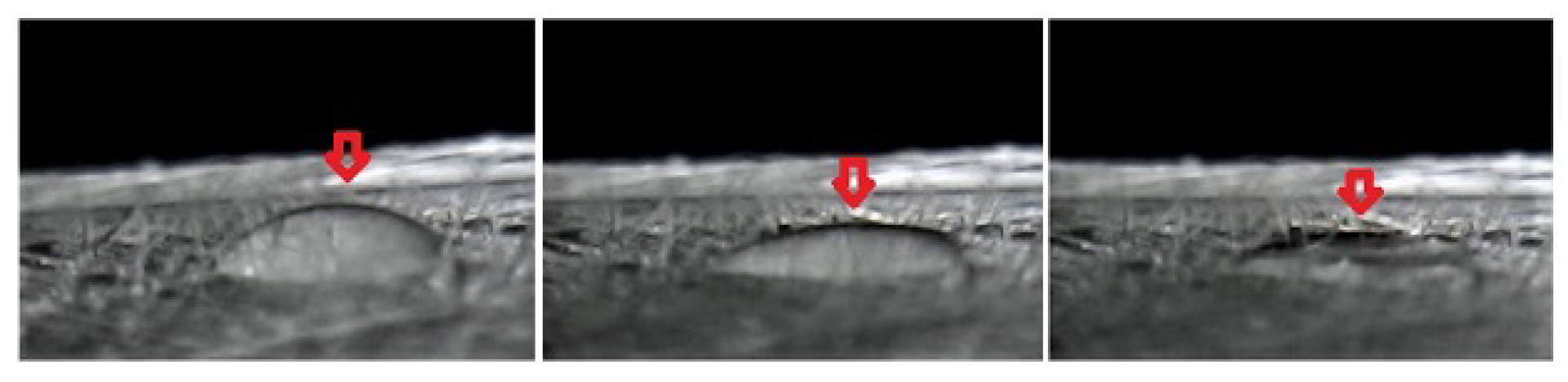 Fluids 06 00463 g014 550