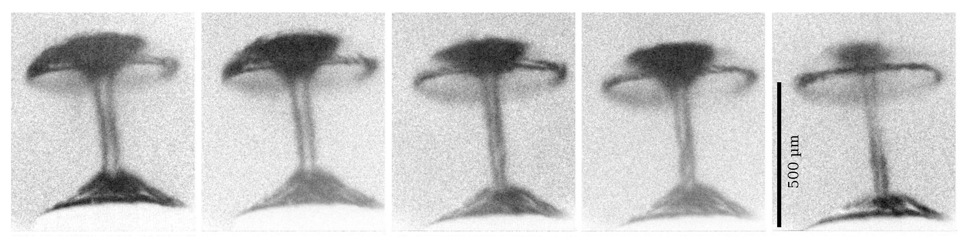 Fluids 07 00002 g006 Fluids 07 00002 g006