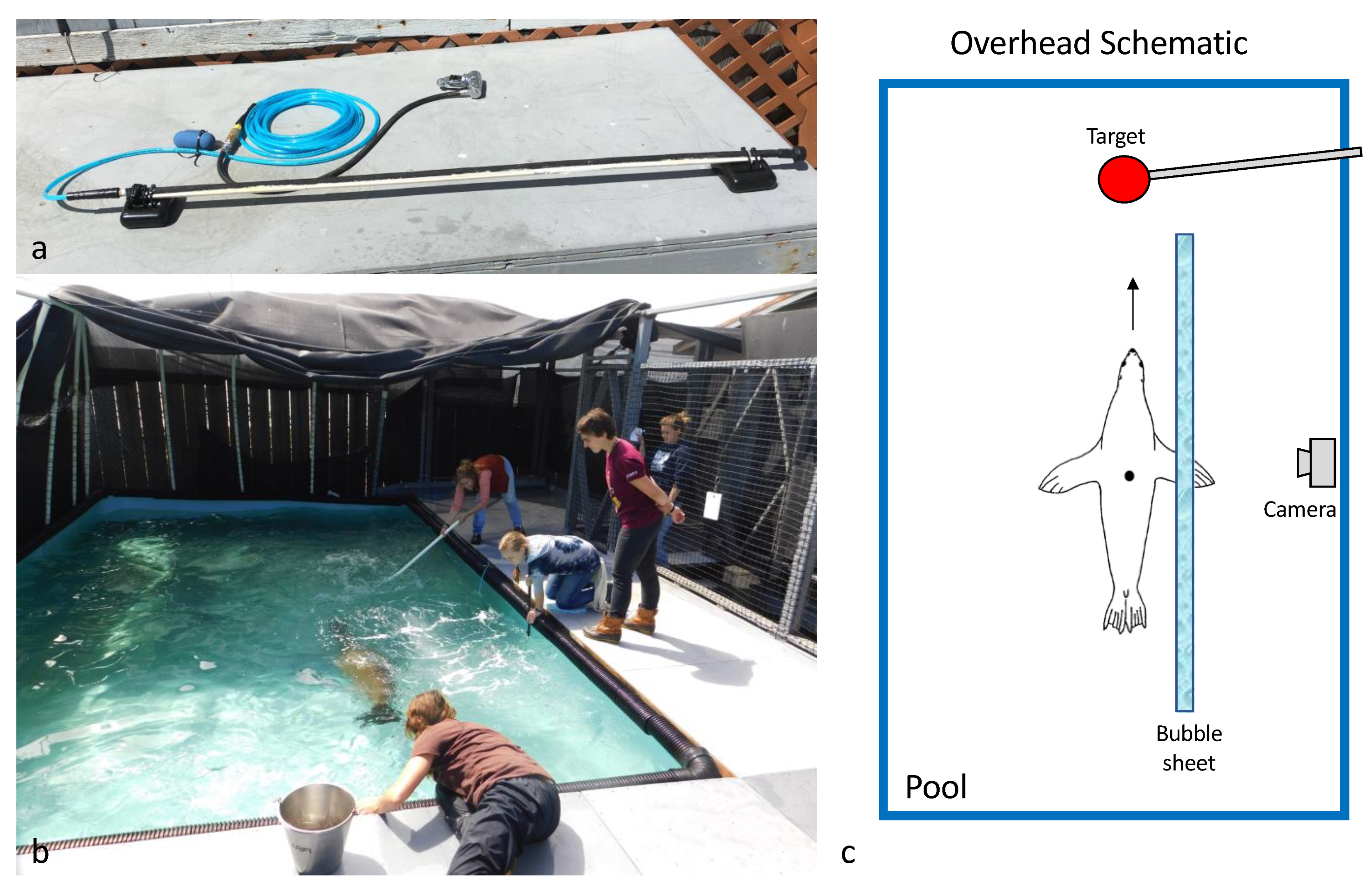 Fluids 07 00003 g002