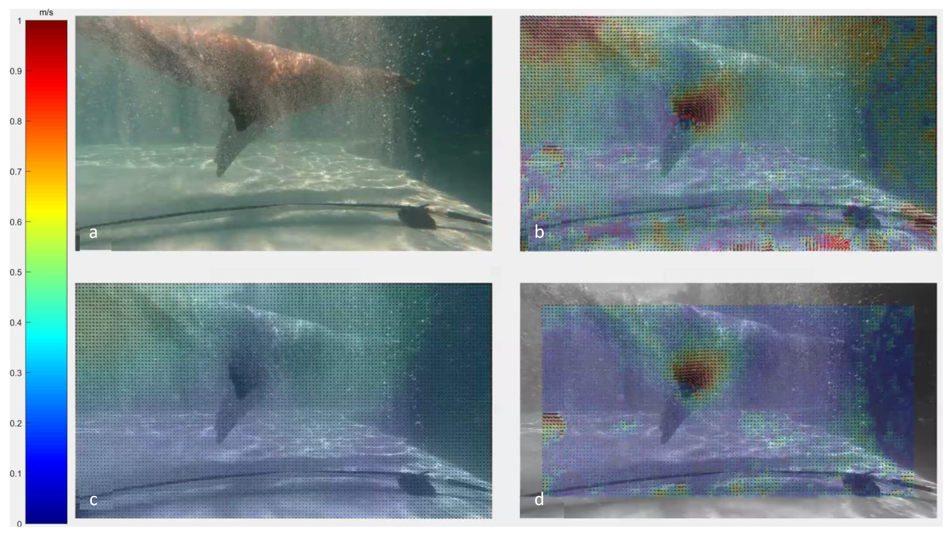 Fluids 07 00003 g004