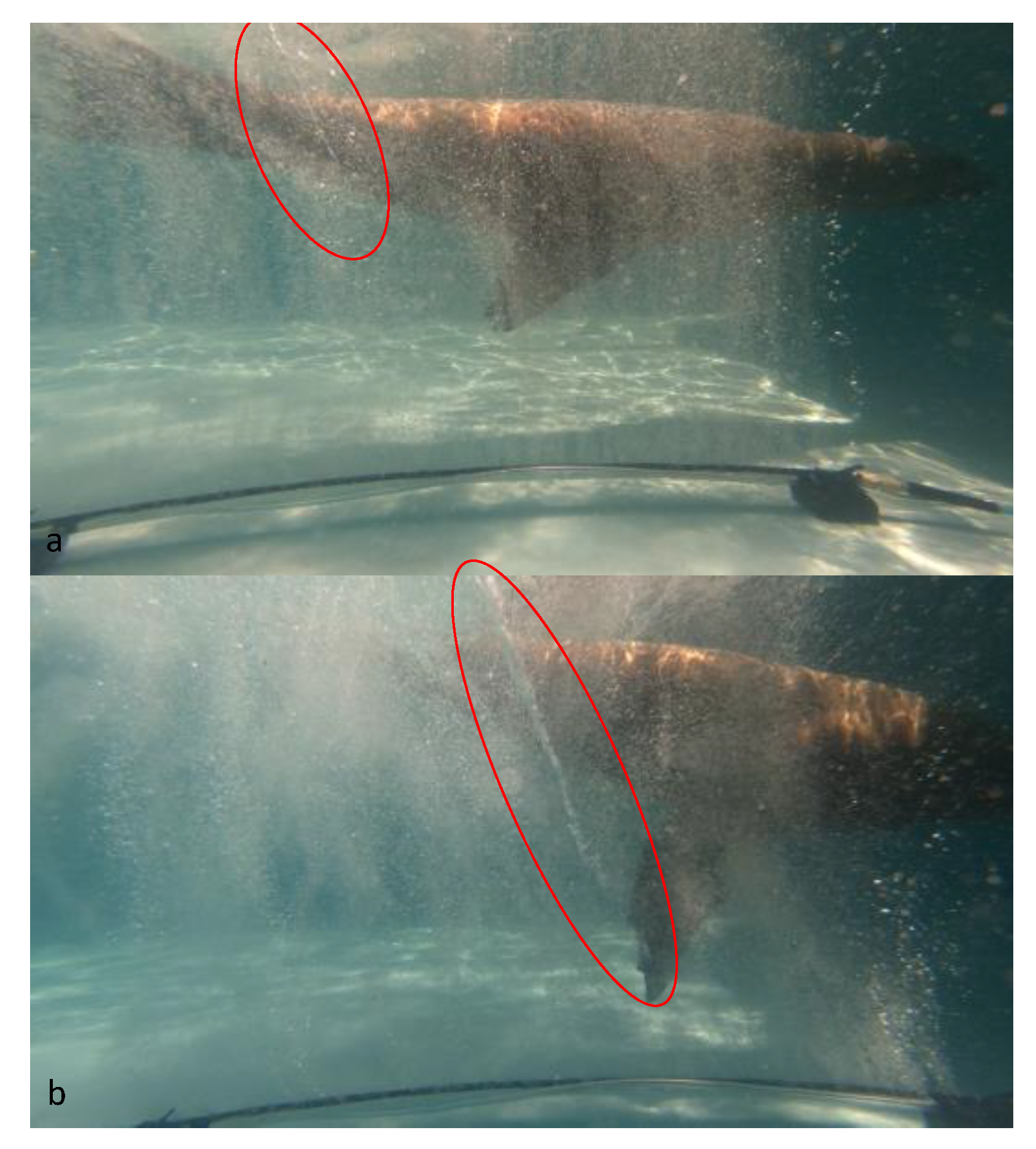 Fluids 07 00003 g006