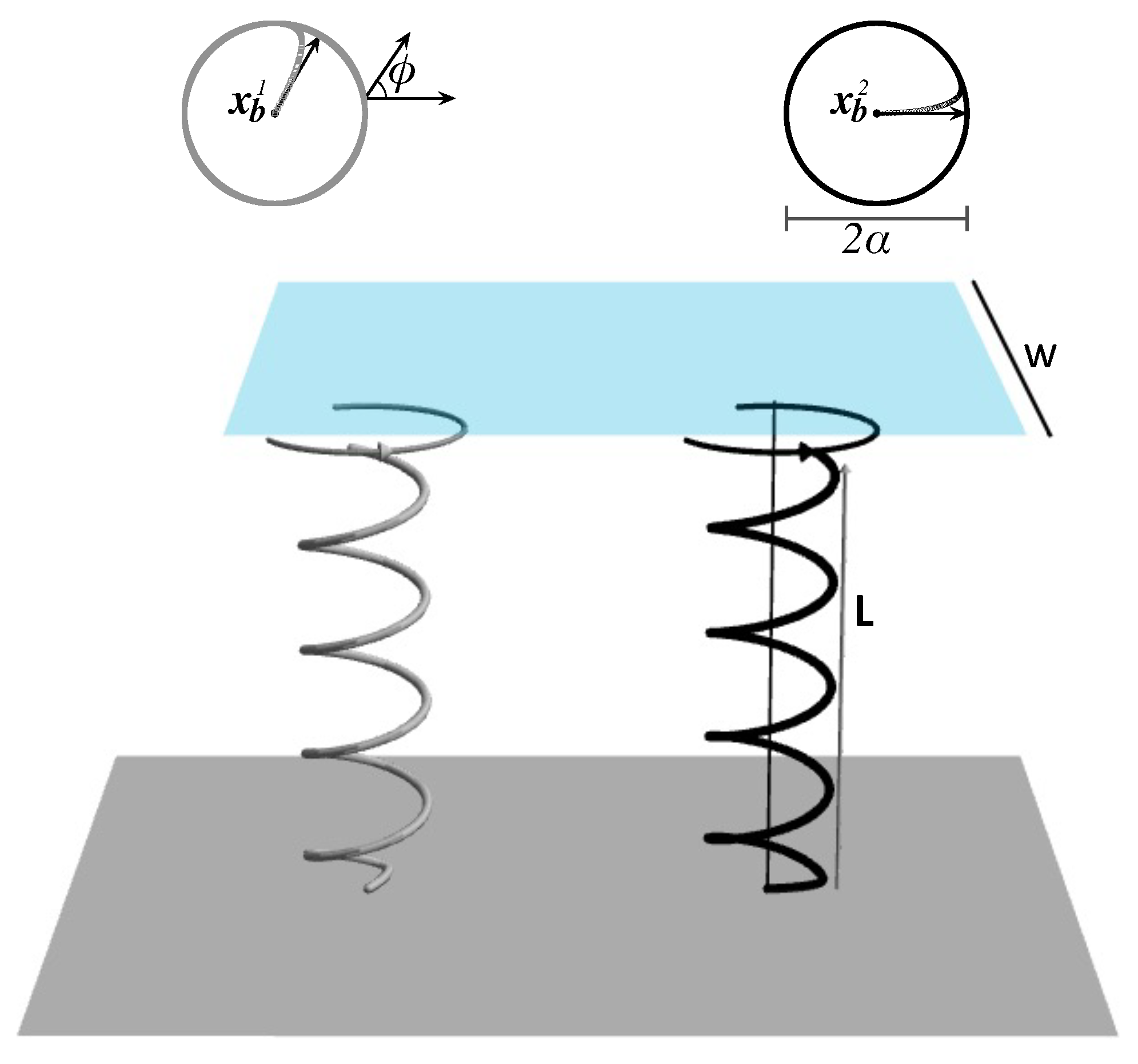 Fluids 07 00025 g001 550