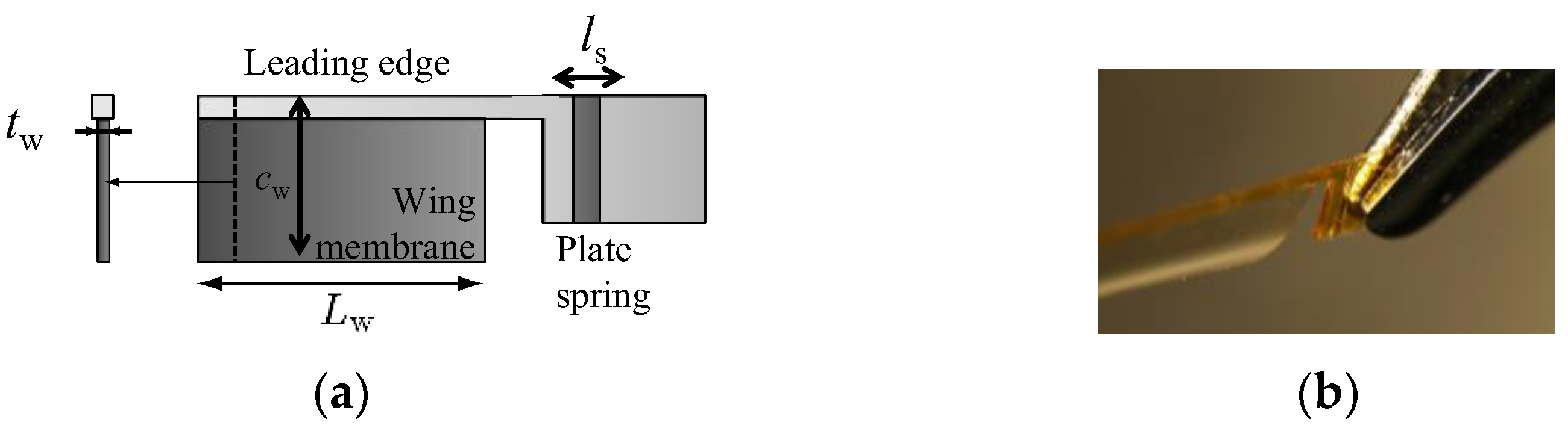 Fluids 07 00026 g012 550