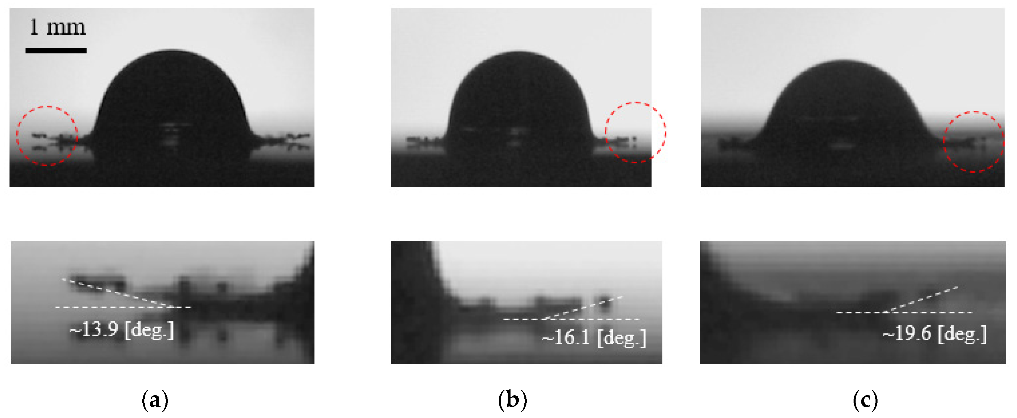 Fluids 07 00038 g003 550