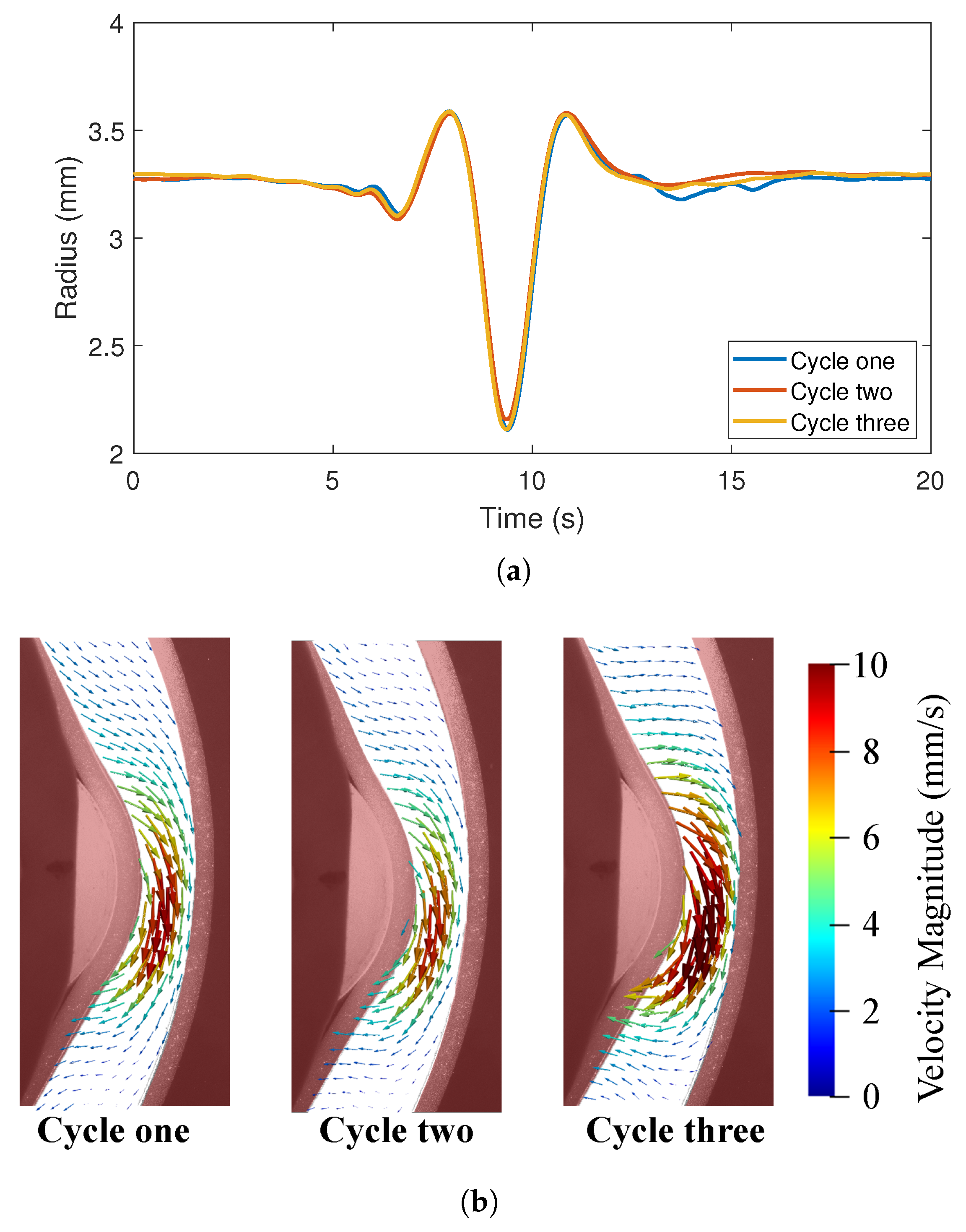 Fluids 07 00040 g007