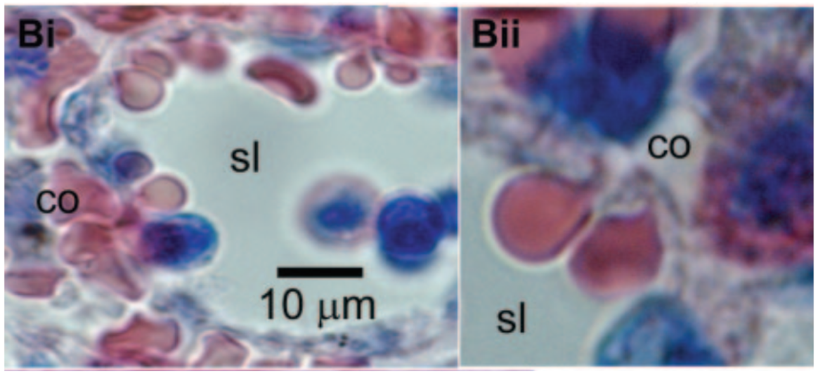Fluids 07 00066 g004 Fluids 07 00066 g004
