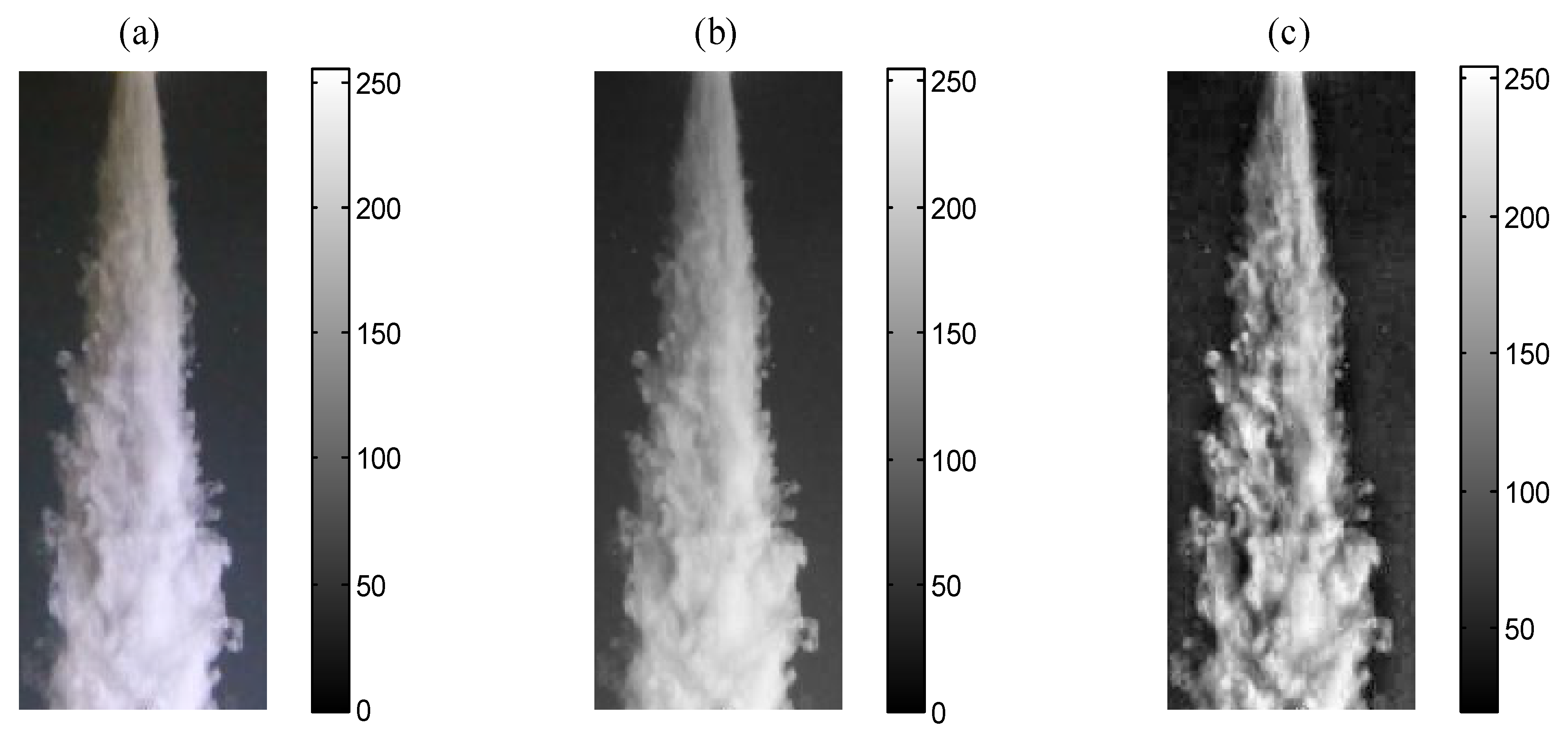 Fluids 07 00126 g002