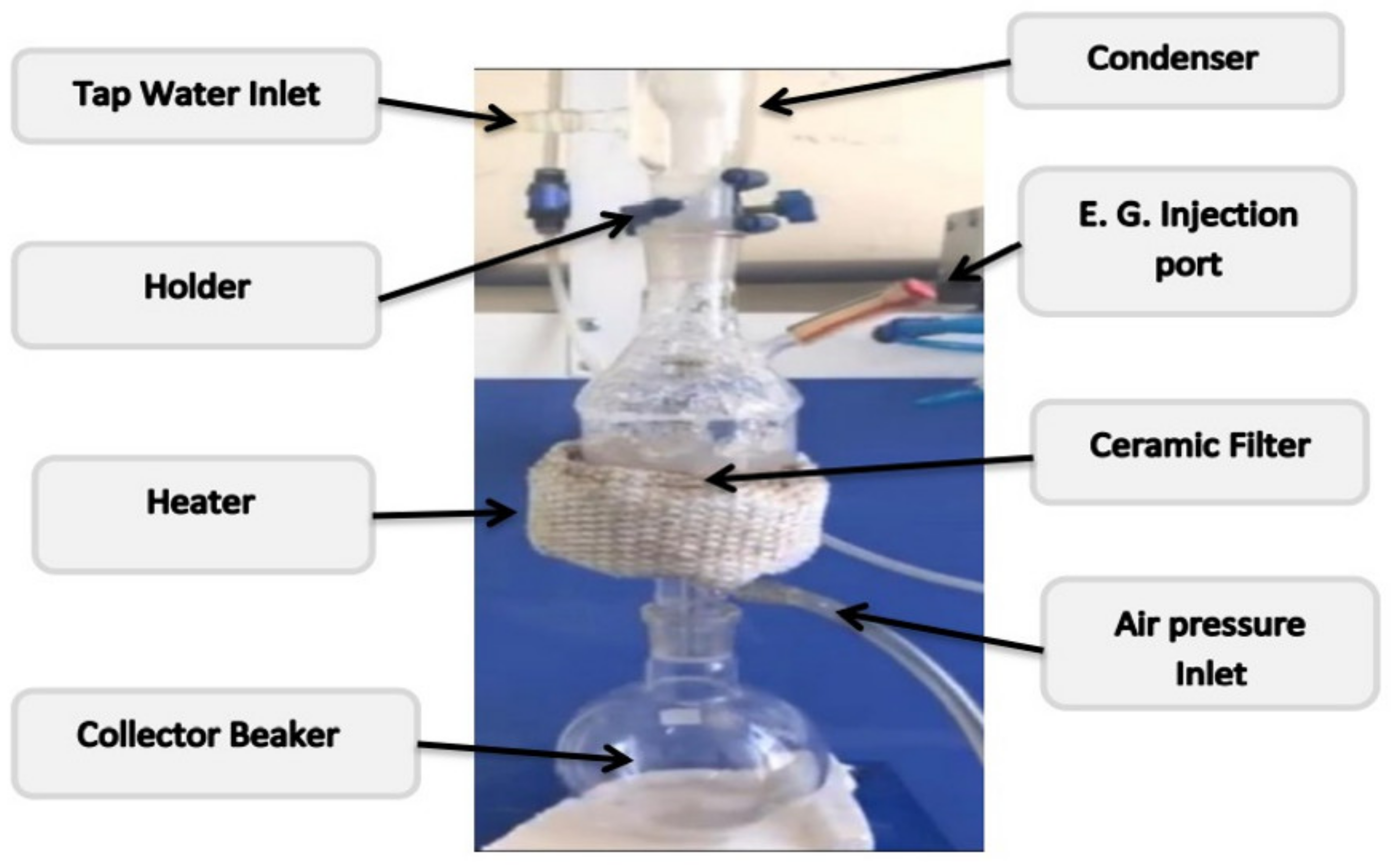 Fluids 07 00127 g001 550
