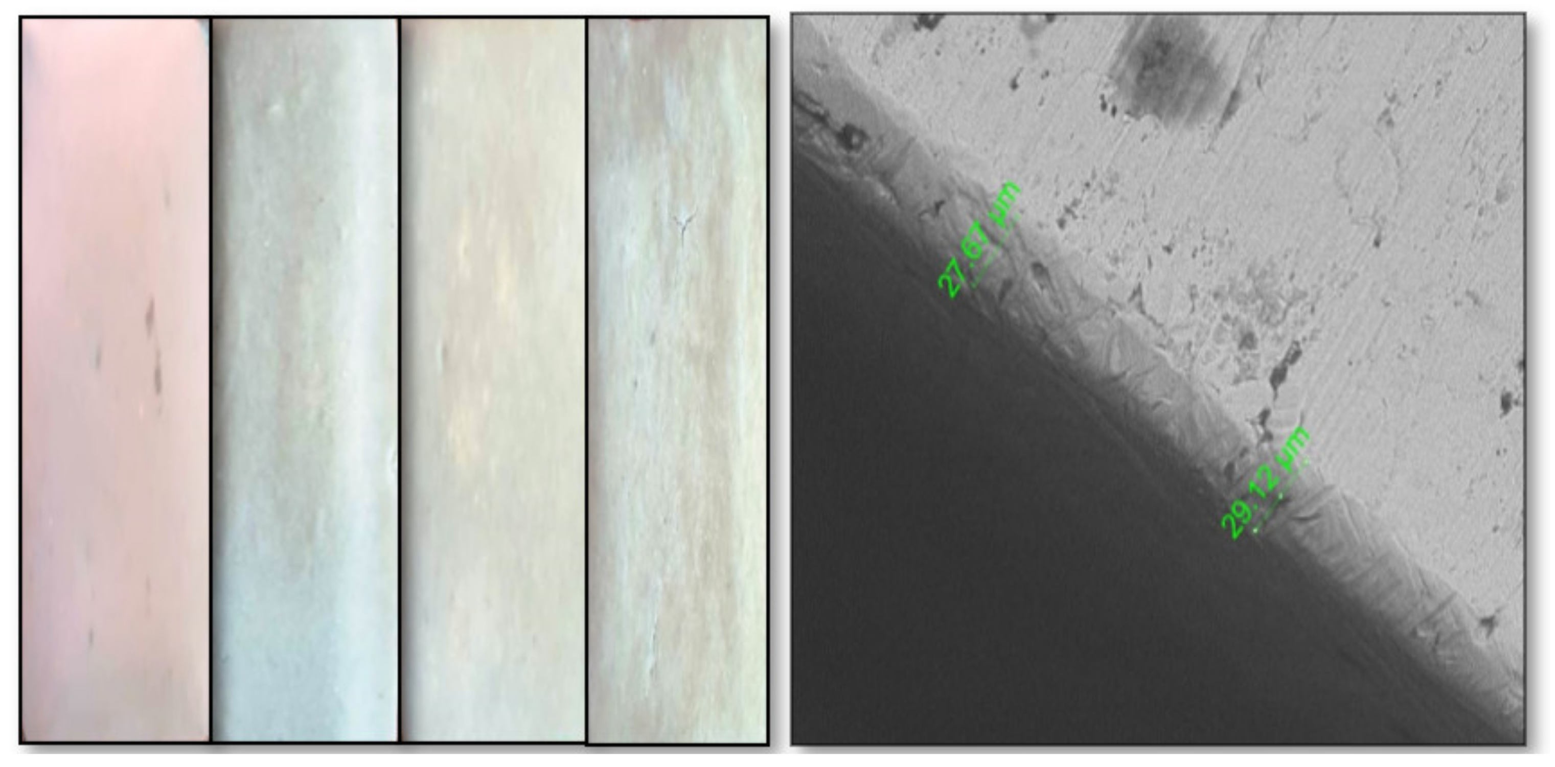 Fluids 07 00127 g002 550