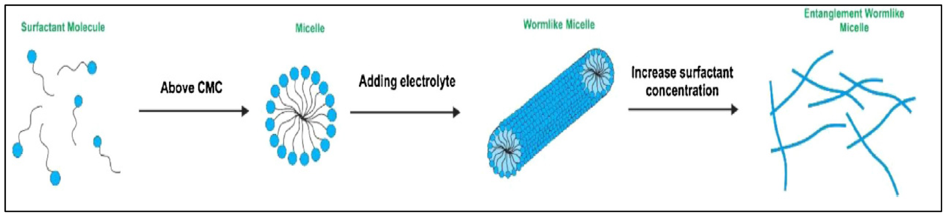 Fluids 07 00156 g002 550