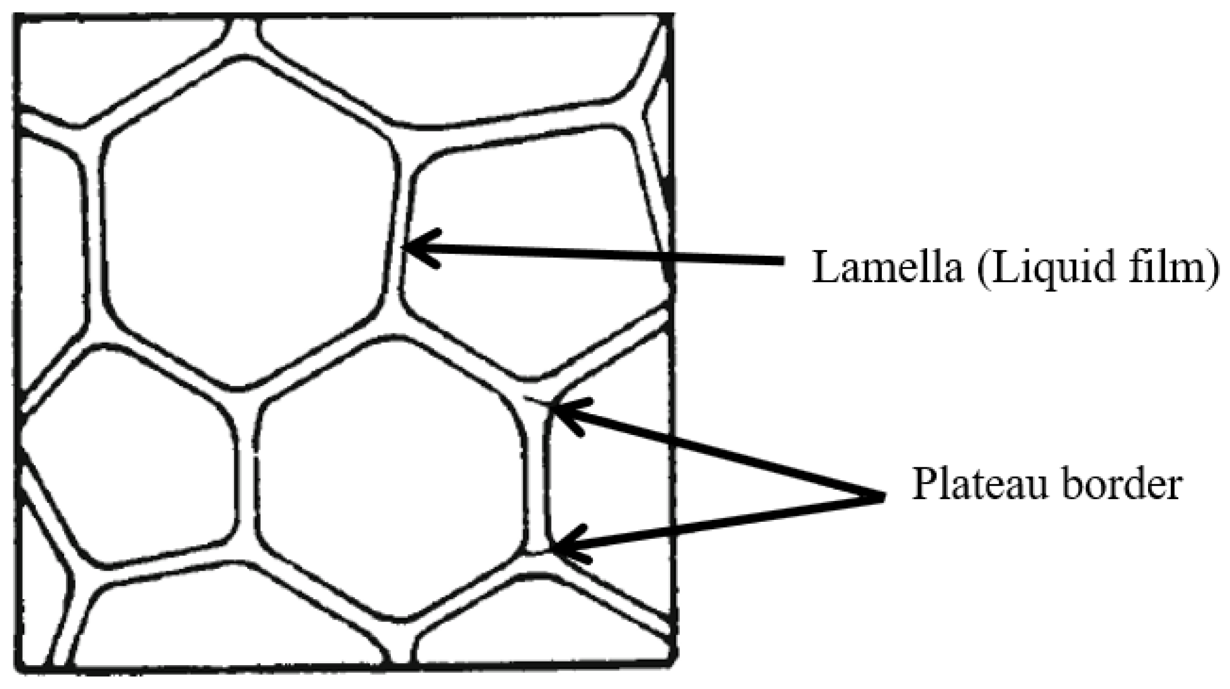 Fluids 07 00156 g003 550