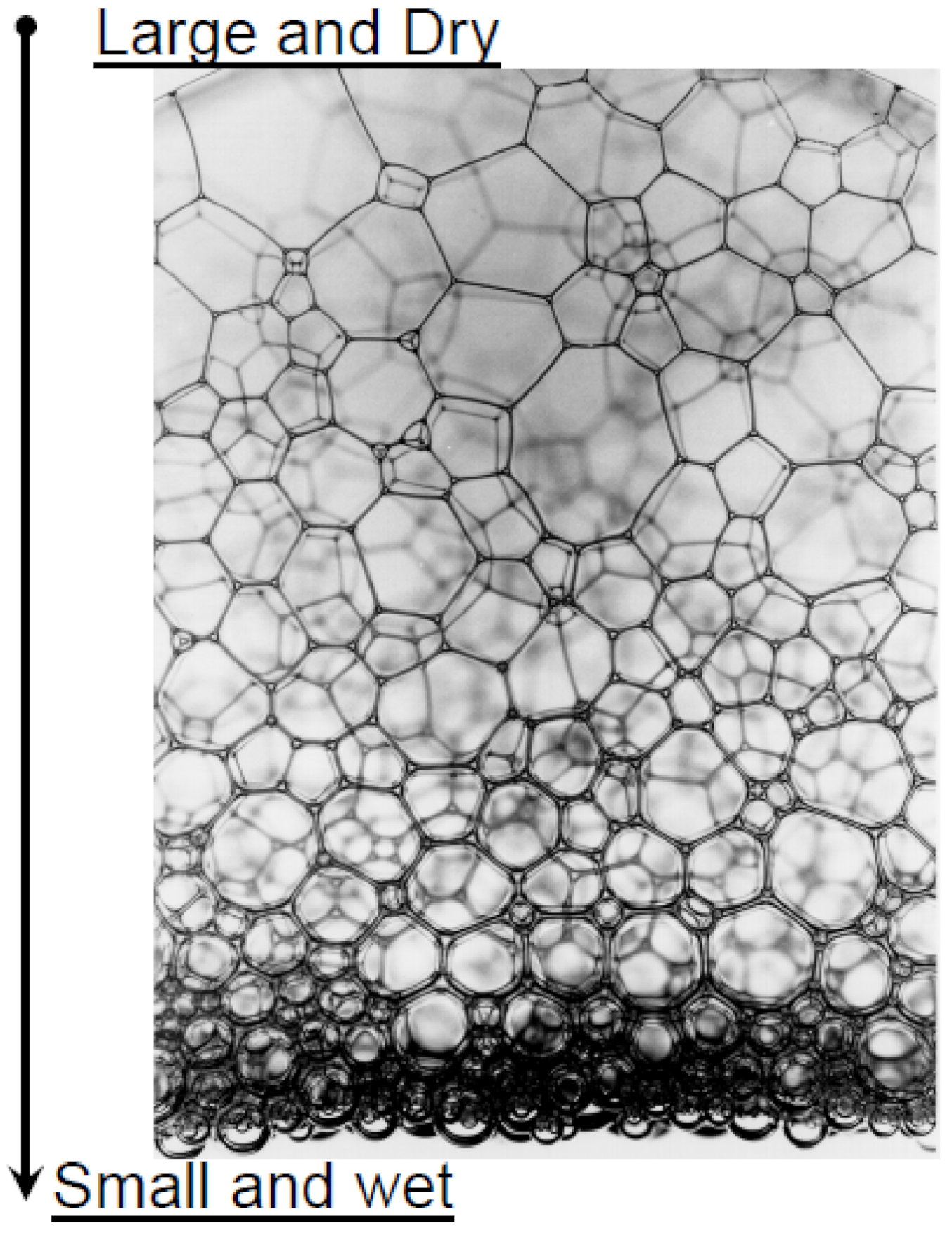 Fluids 07 00156 g004 550