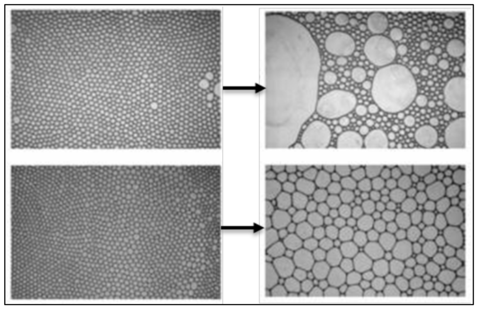 Fluids 07 00156 g015 550