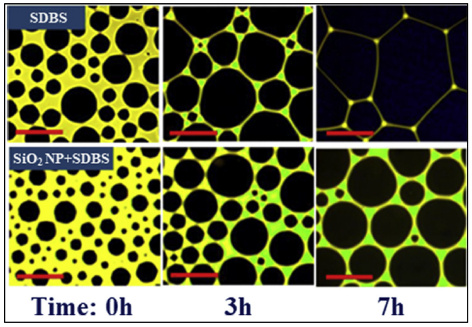 Fluids 07 00156 g026 550