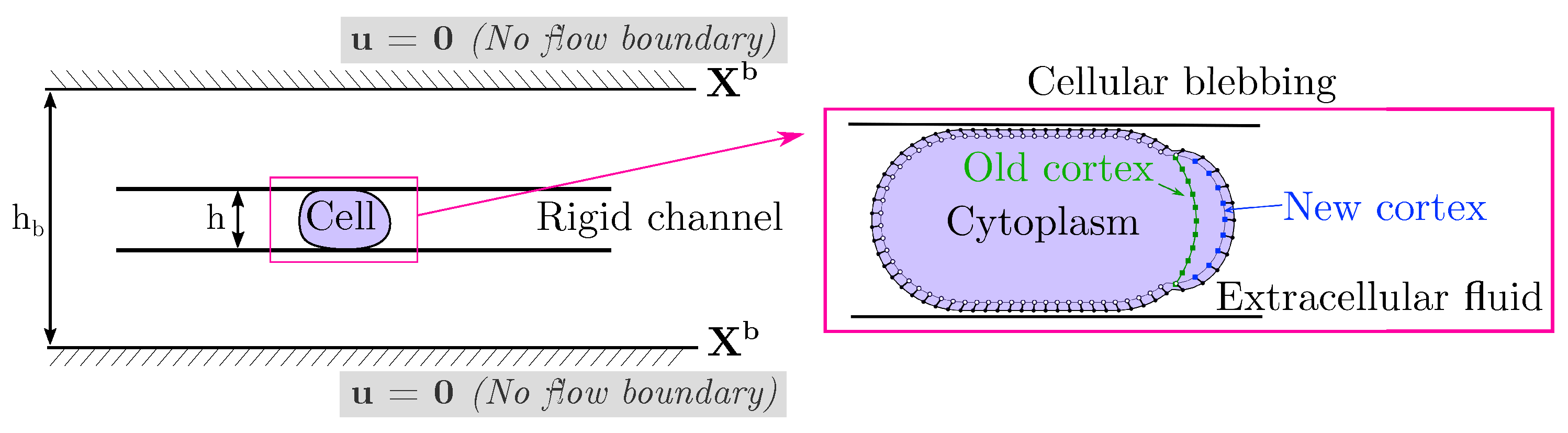 Fluids 07 00173 g001 550