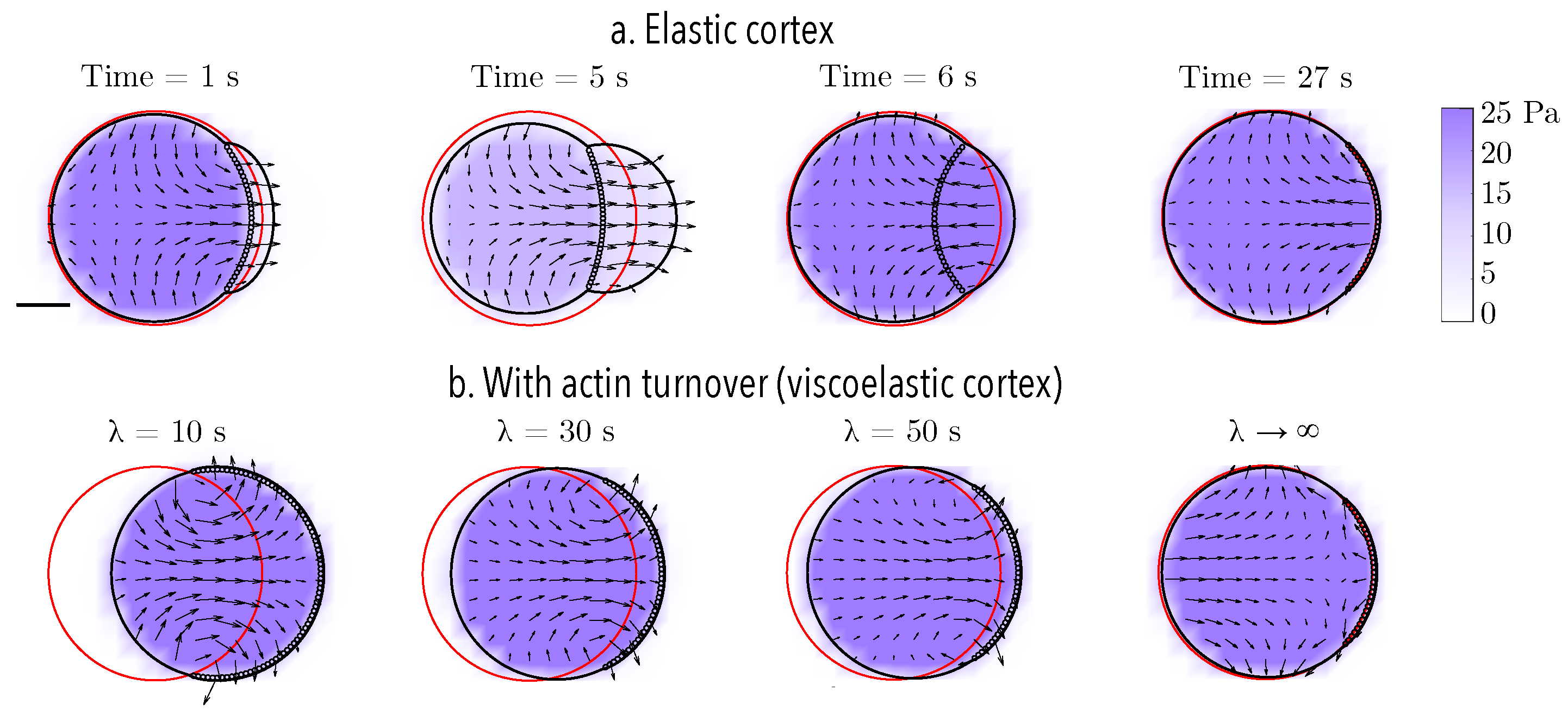 Fluids 07 00173 g005 550
