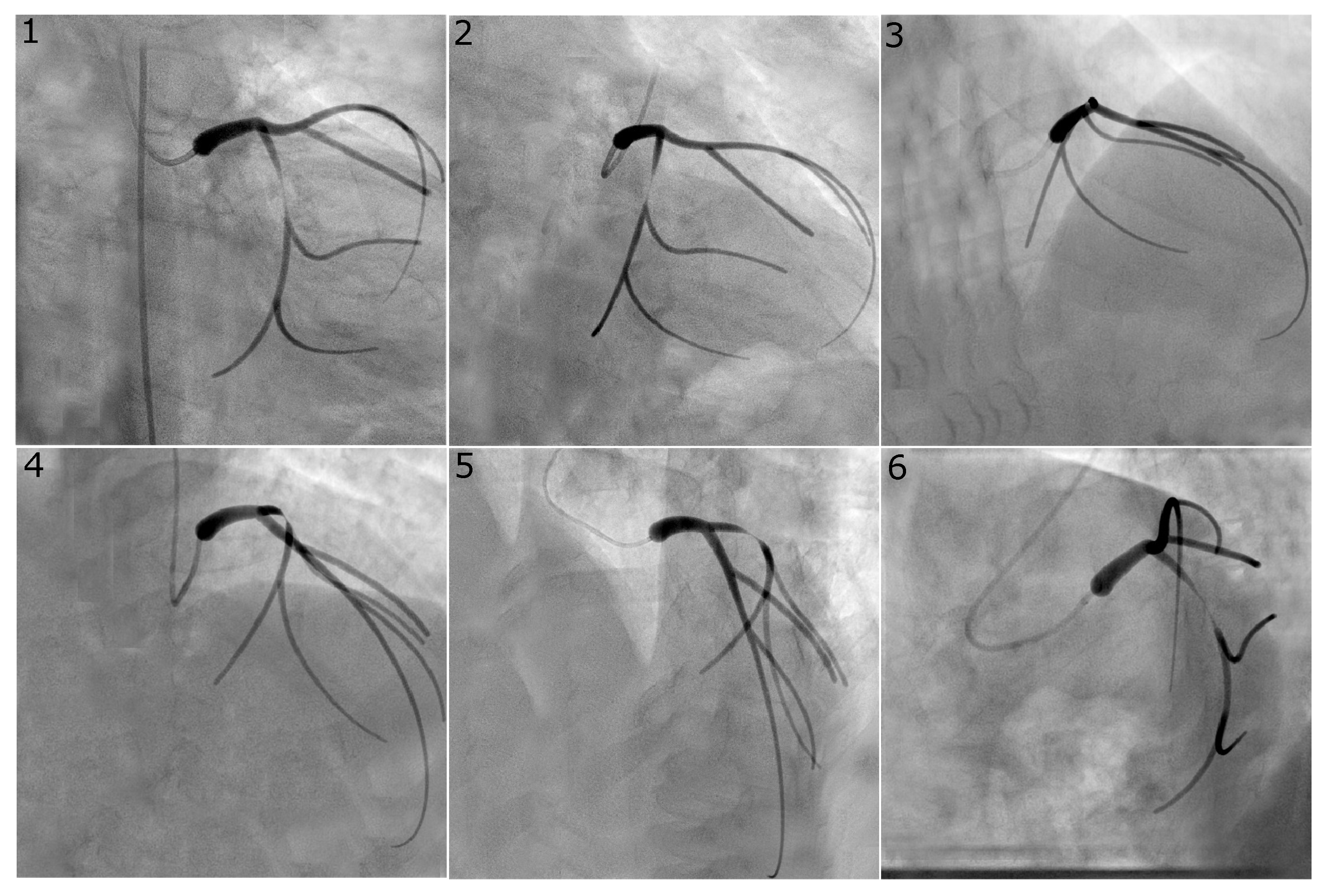 Fluids 07 00201 g002 550