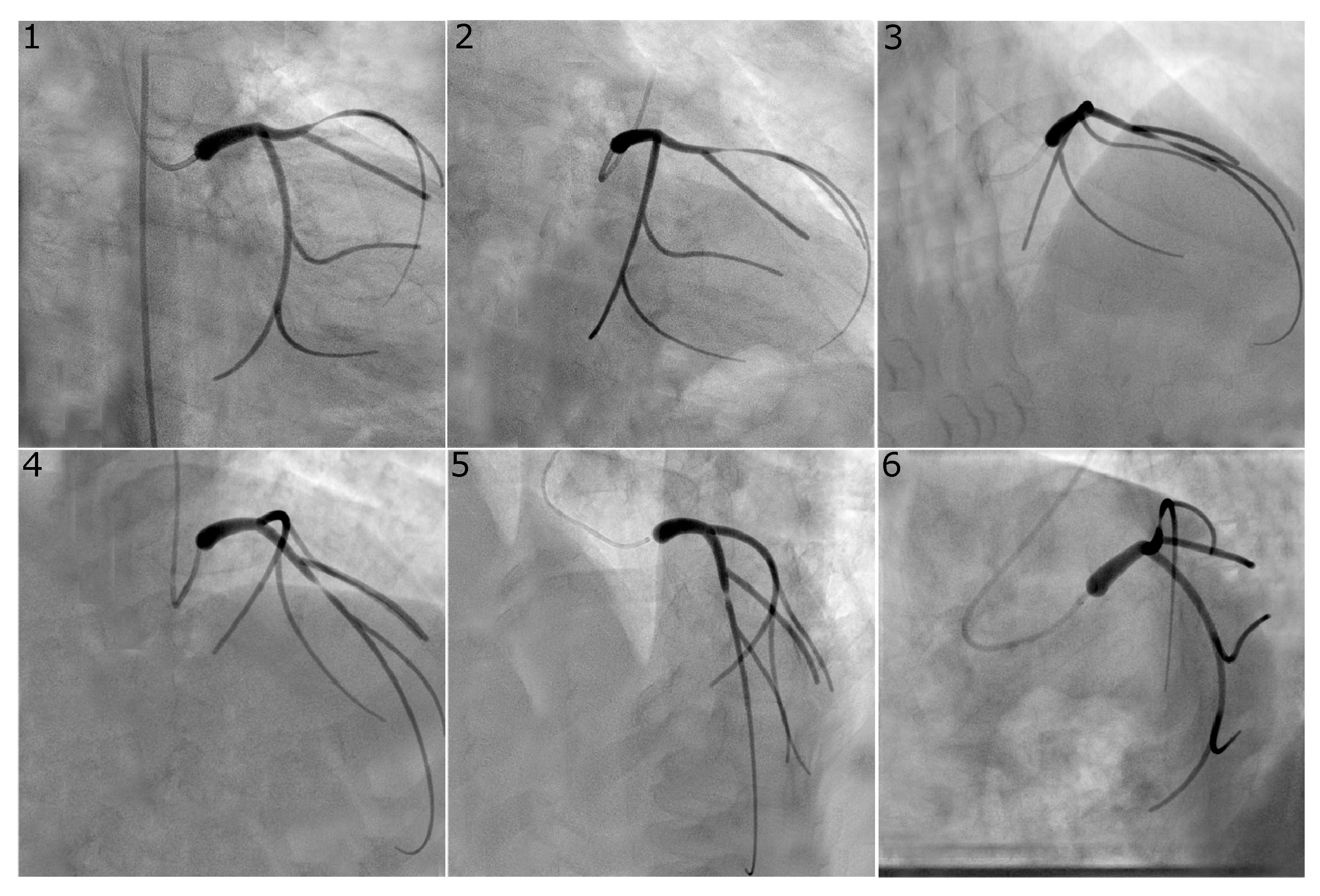 Fluids 07 00201 g003 550