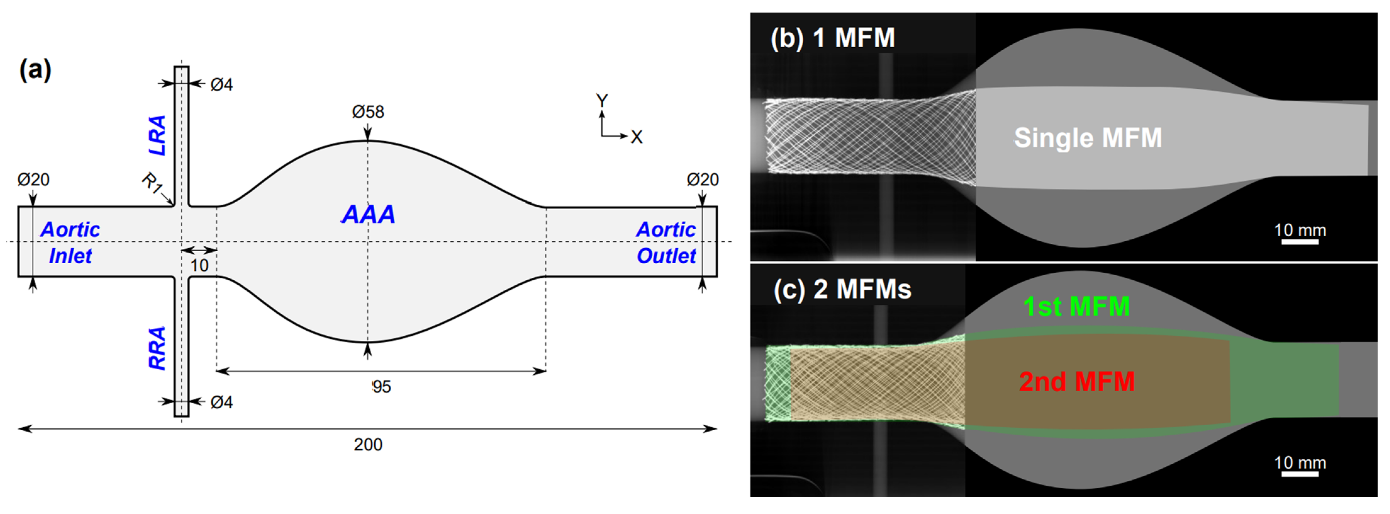 【MFM】 Experimental Study of Collateral Patency following