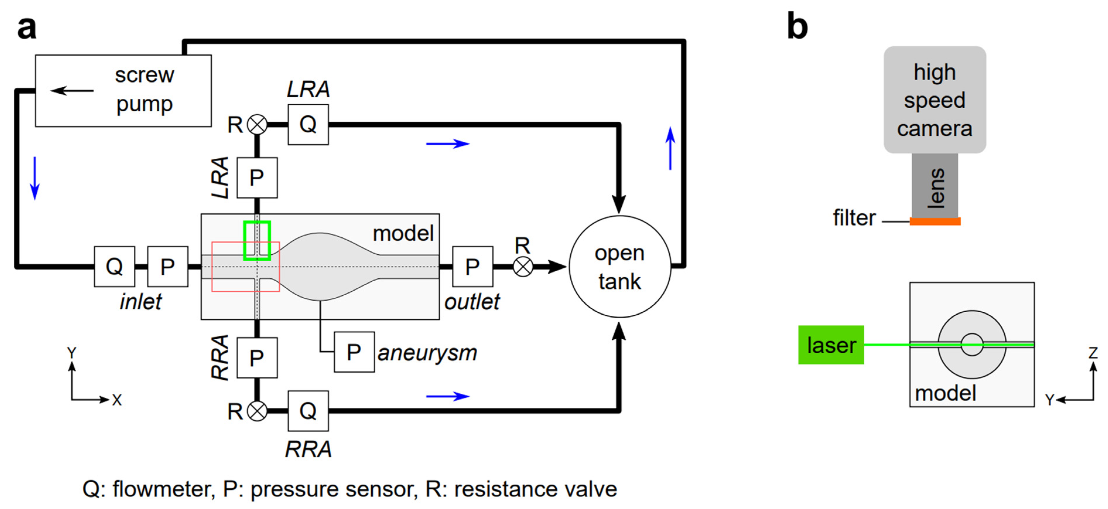 Fluids 07 00220 g002
