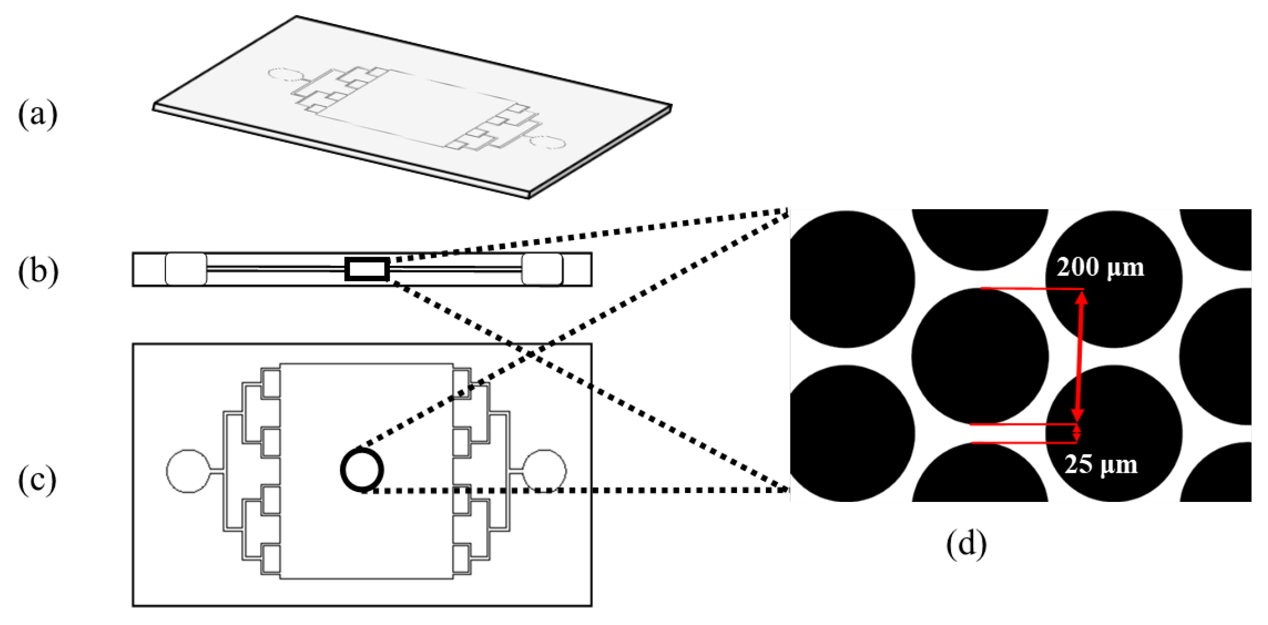 Fluids 07 00256 g001 550