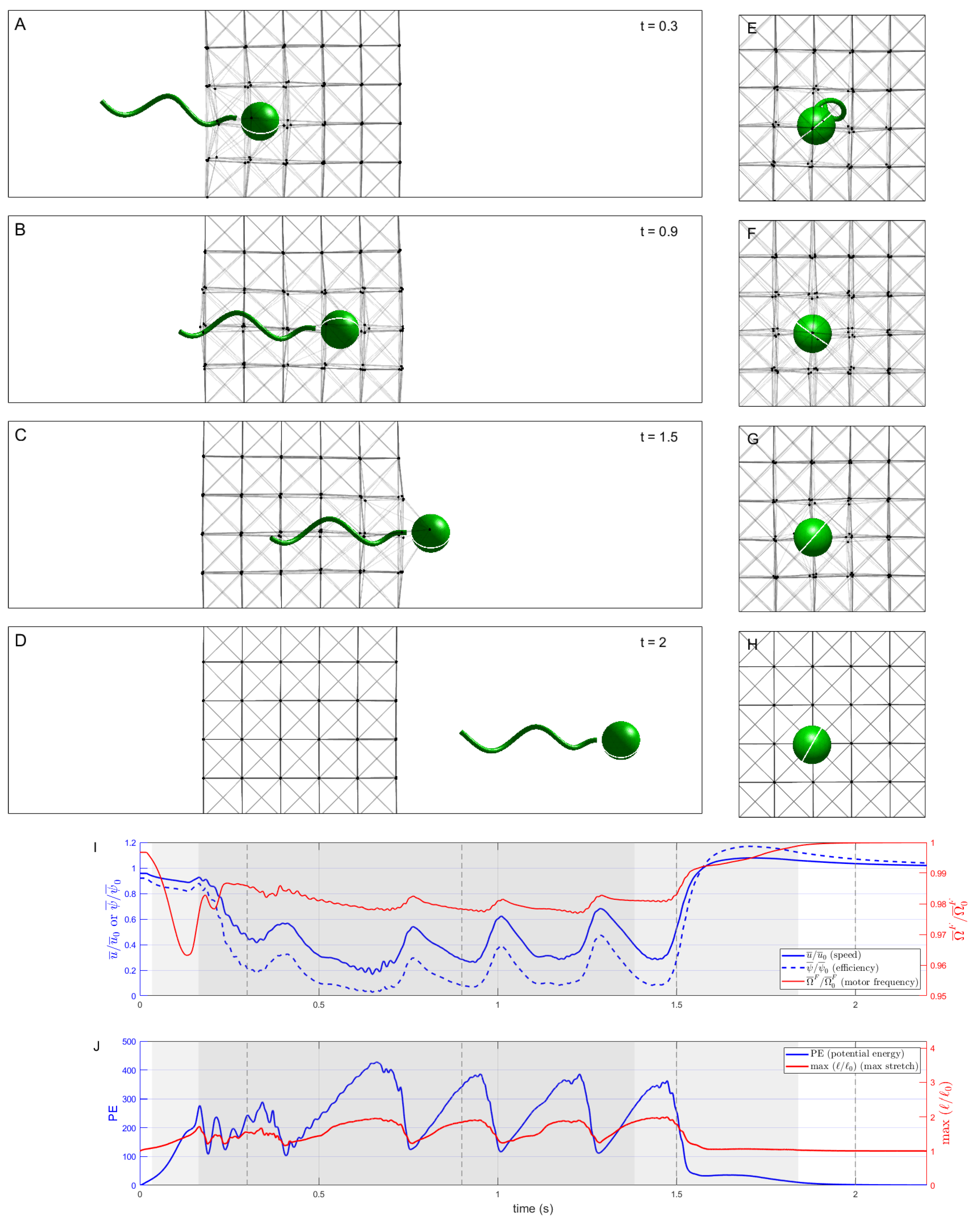 Fluids 07 00257 g003