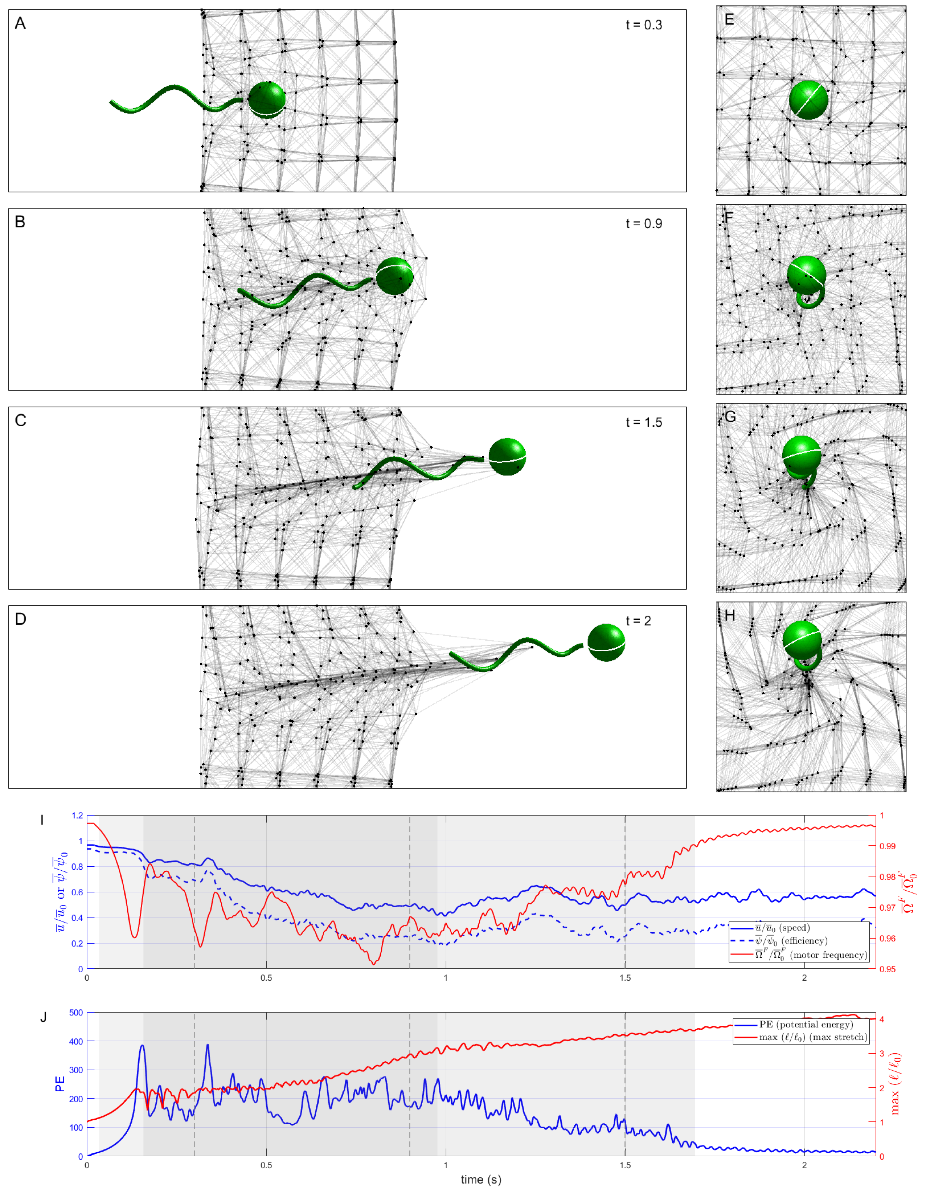 Fluids 07 00257 g005