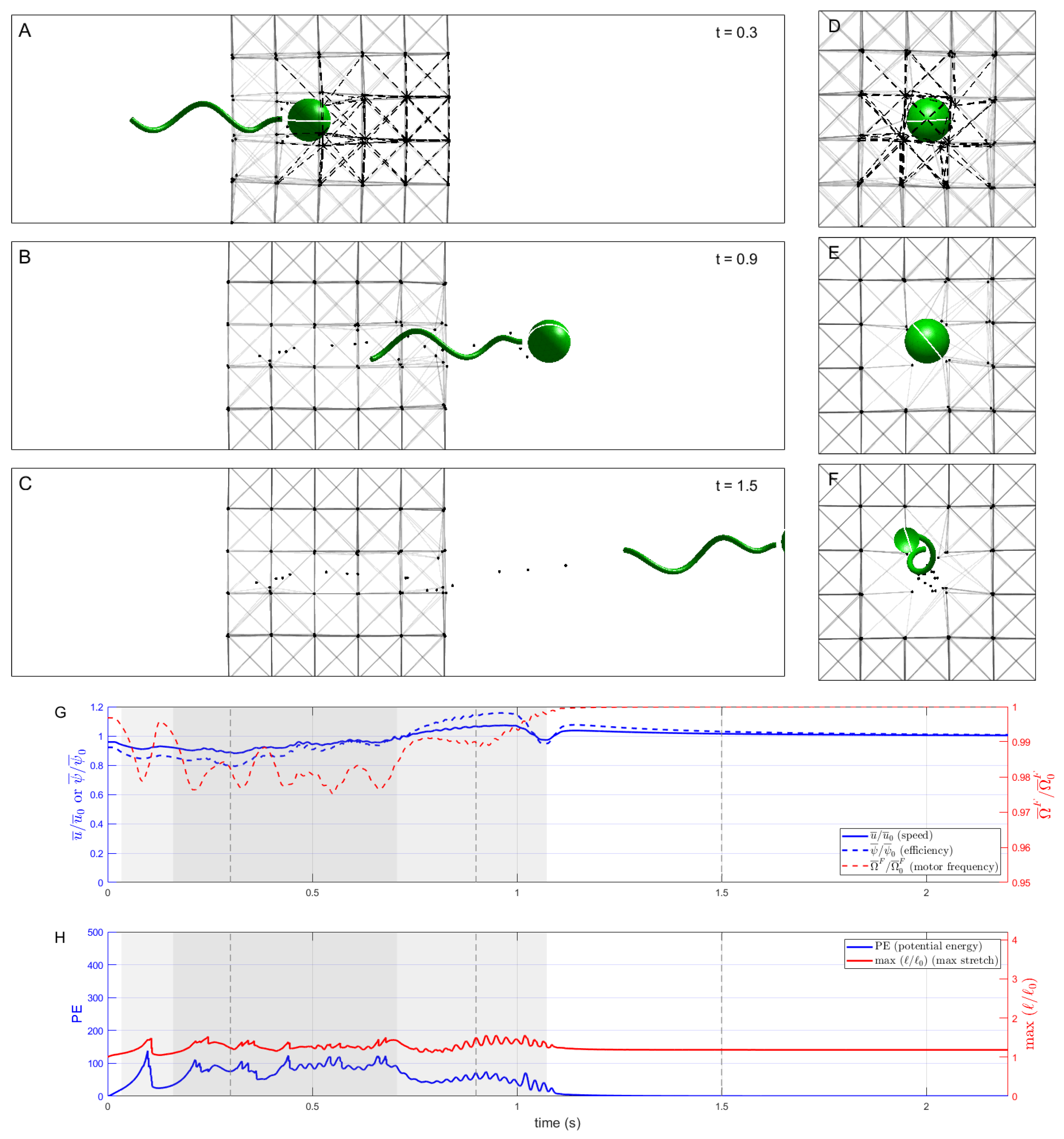 Fluids 07 00257 g007