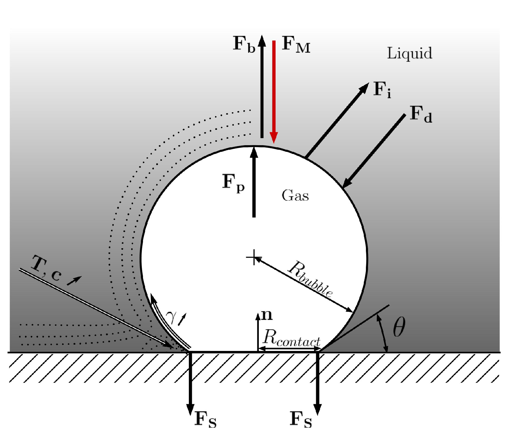 Fluids 07 00262 g001 550