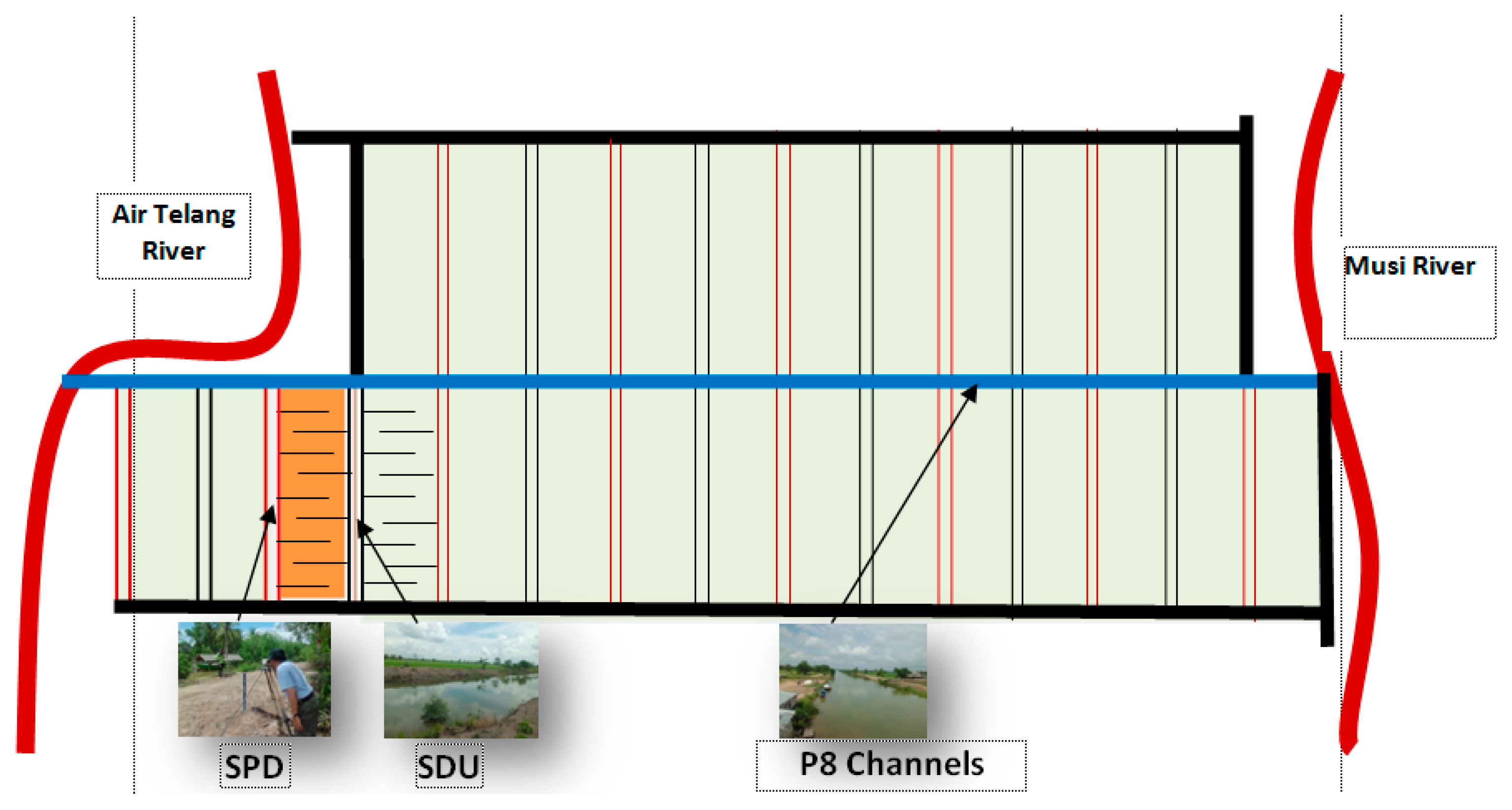 Fluids 07 00277 g002 550