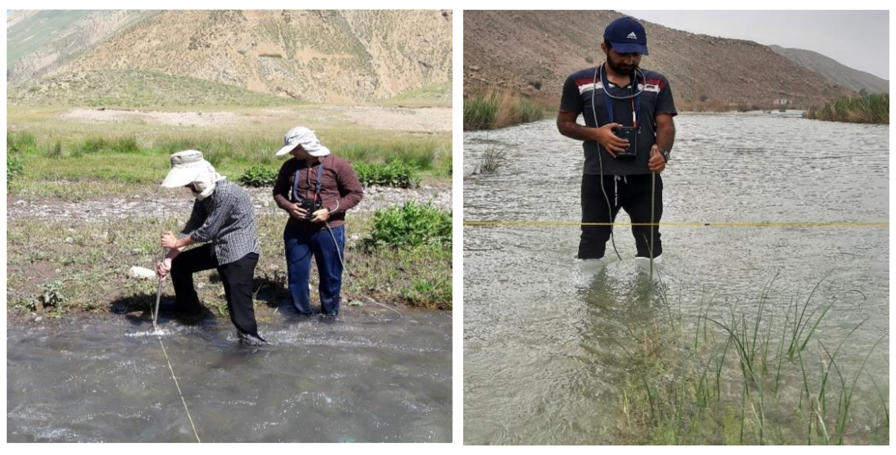 Fluids 07 00284 g003 550