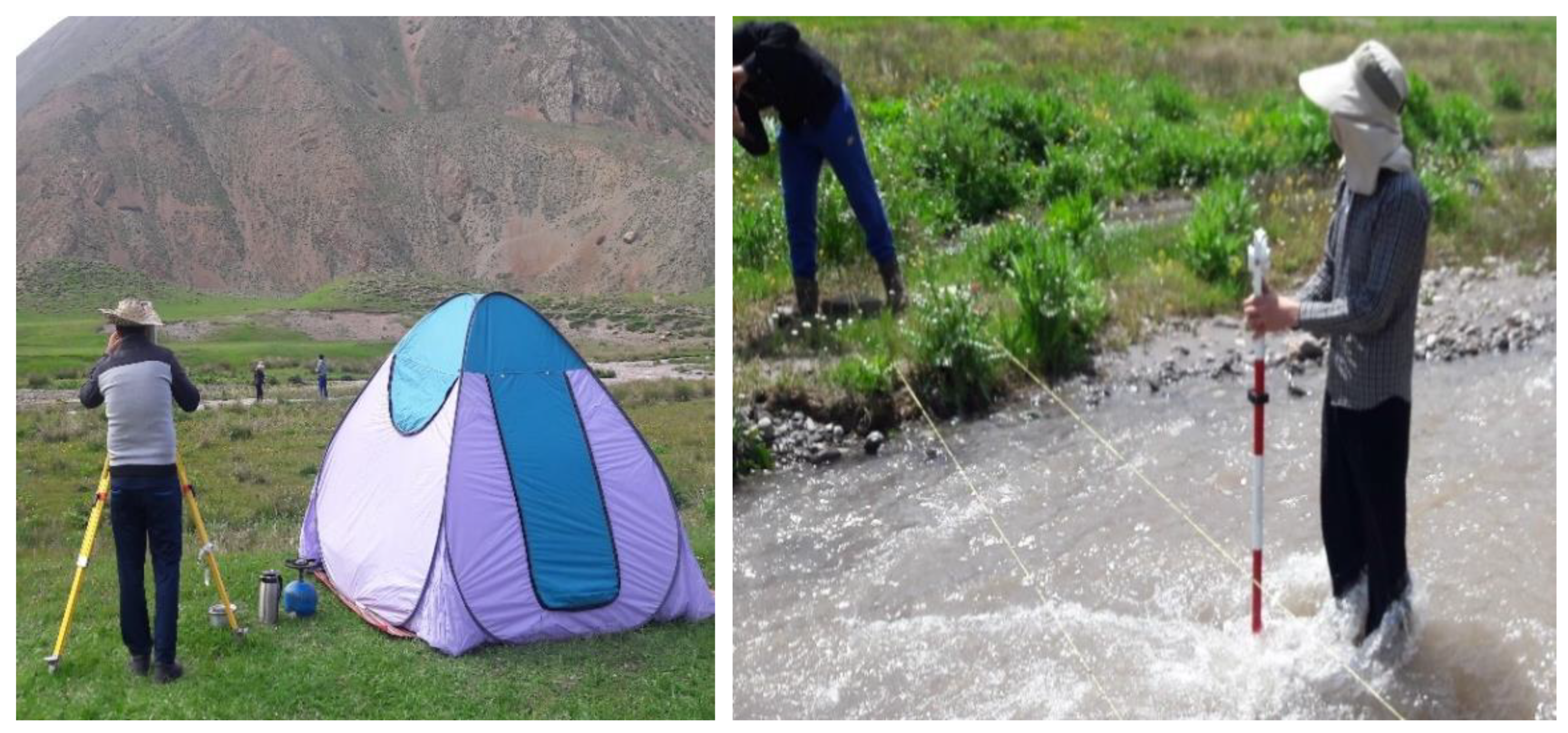 Fluids 07 00284 g004 550