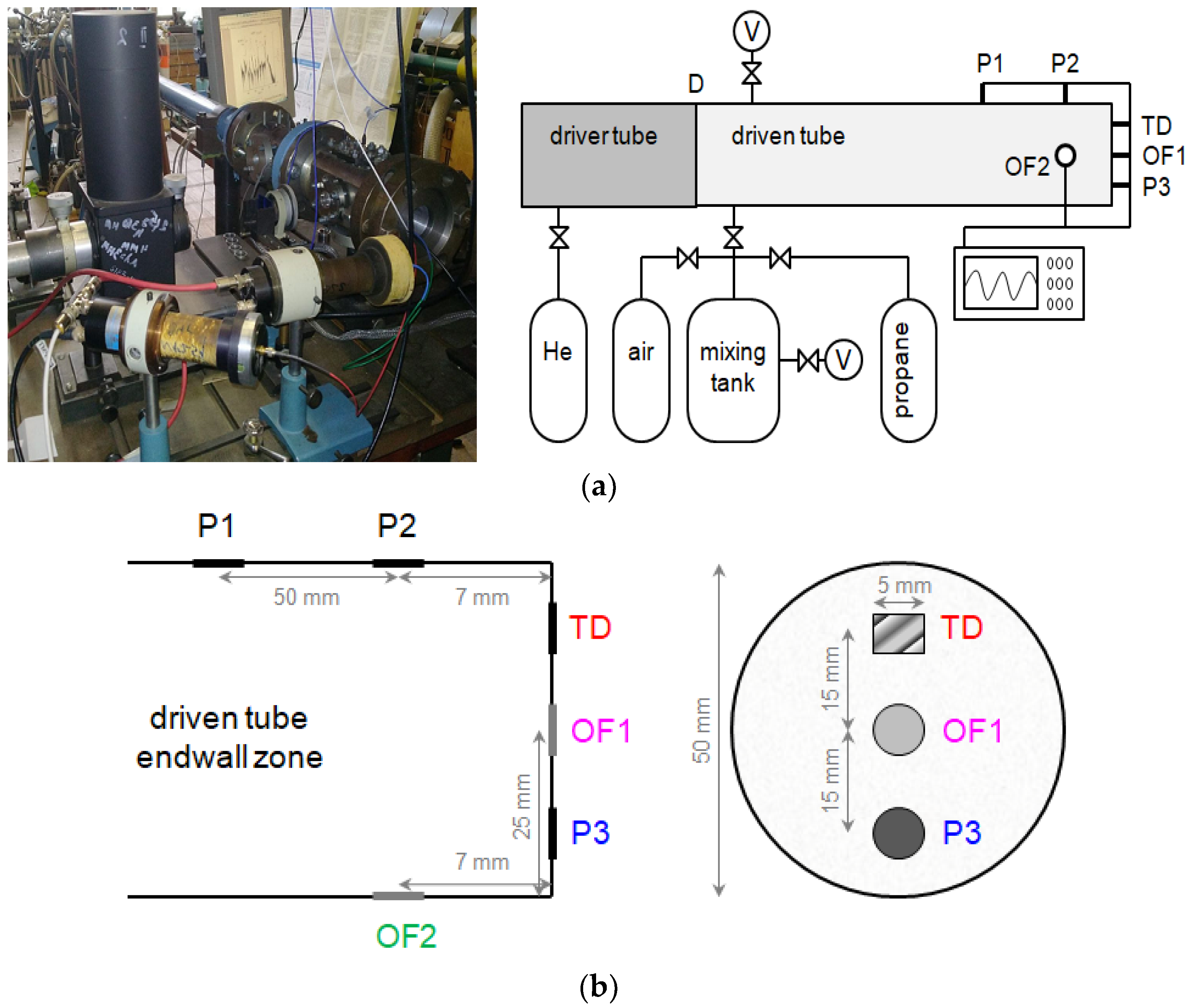 Fluids 07 00291 g001