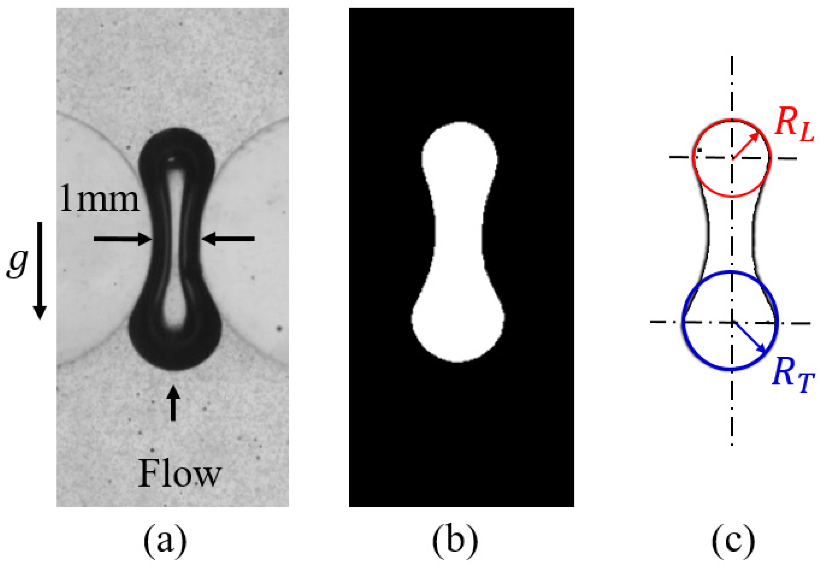 Fluids 07 00333 g005