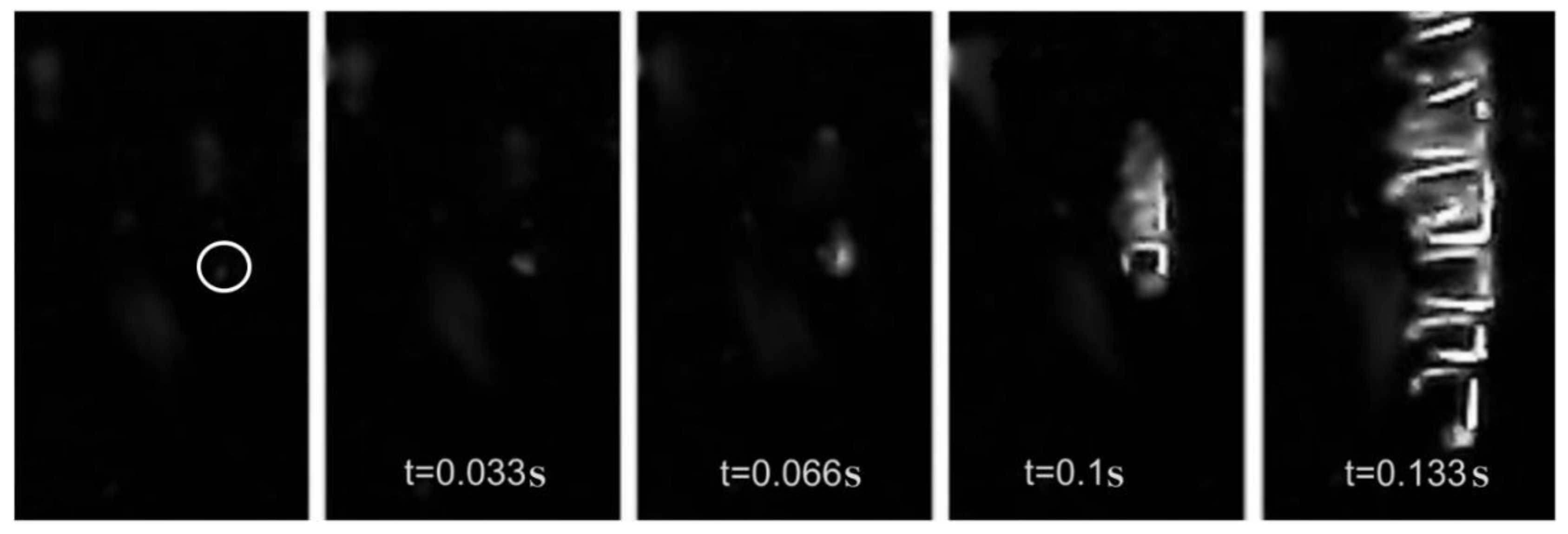 Fluids 07 00357 g004