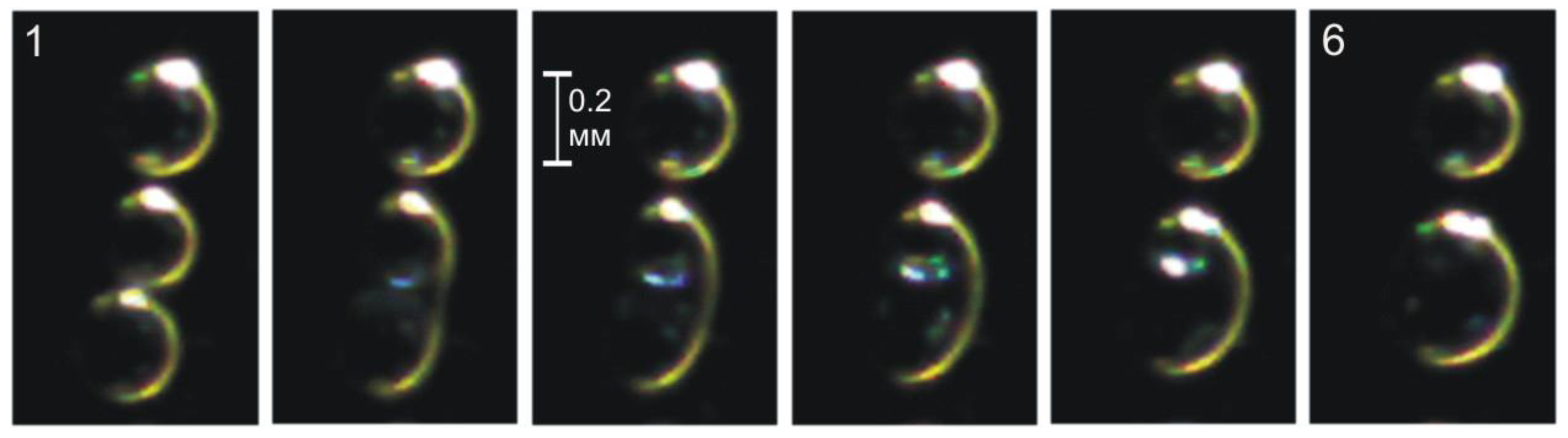 Fluids 07 00357 g005