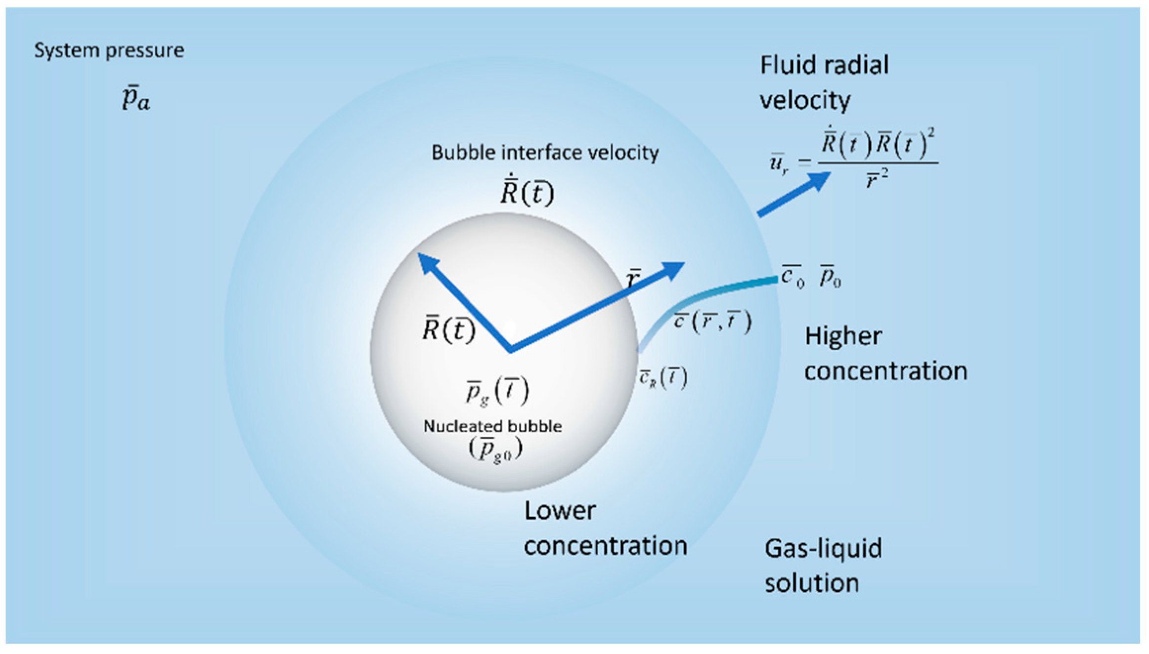 Fluids 07 00365 g001