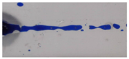 Fluids 08 00042 i011 Fluids 08 00042 i011