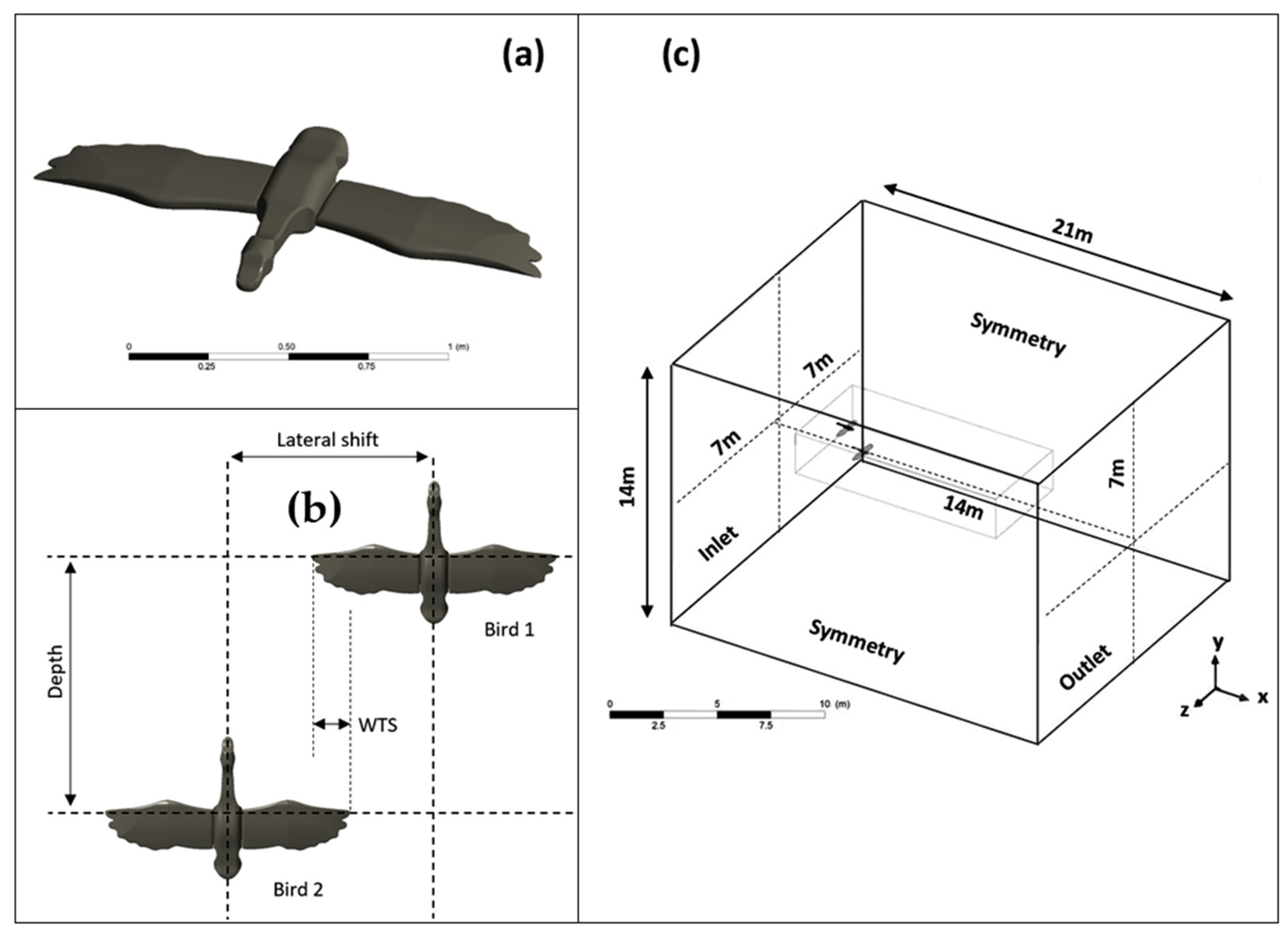 Aerodynamic Interaction of Migratory Birds in Gliding Flight