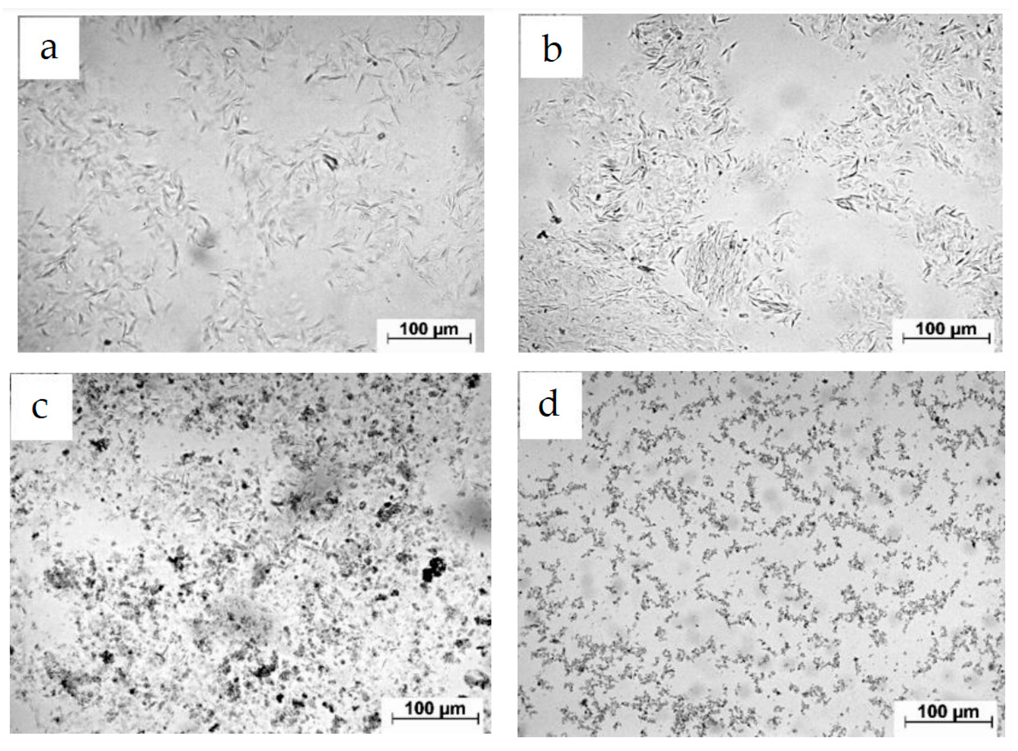 Fluids 08 00108 g005