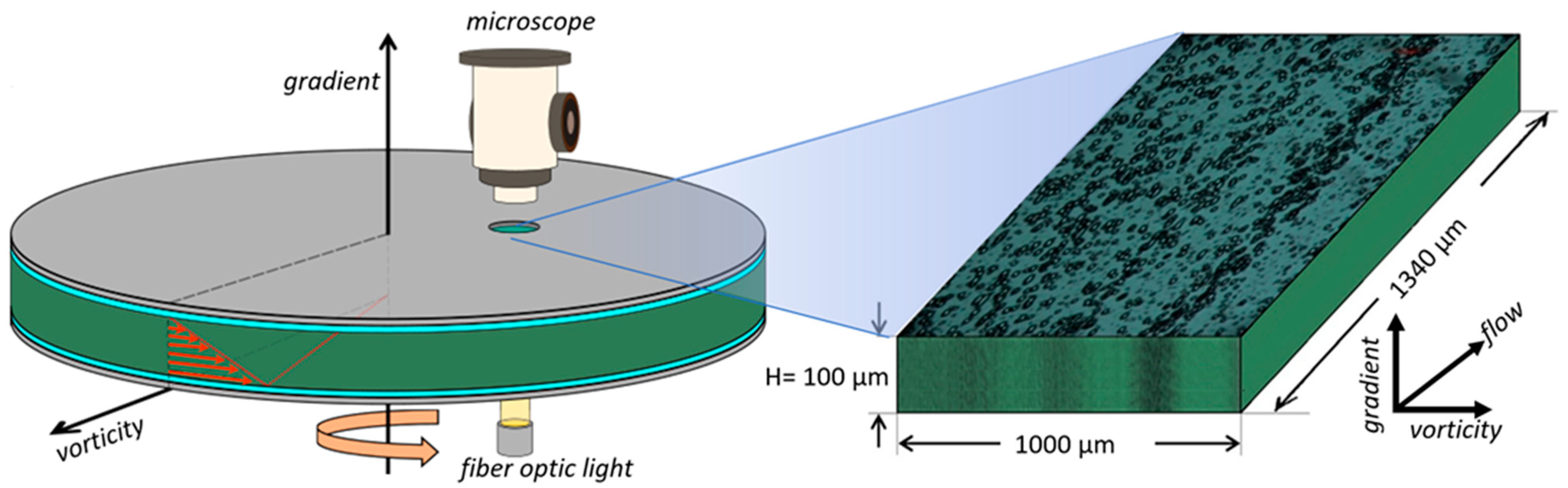 Fluids 08 00240 g001