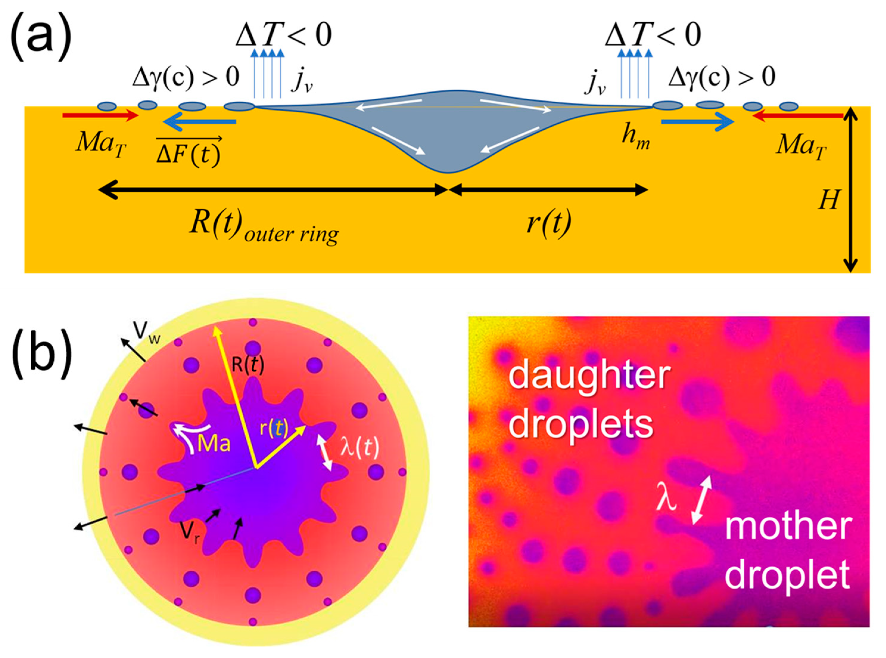 Fluids 08 00255 g005